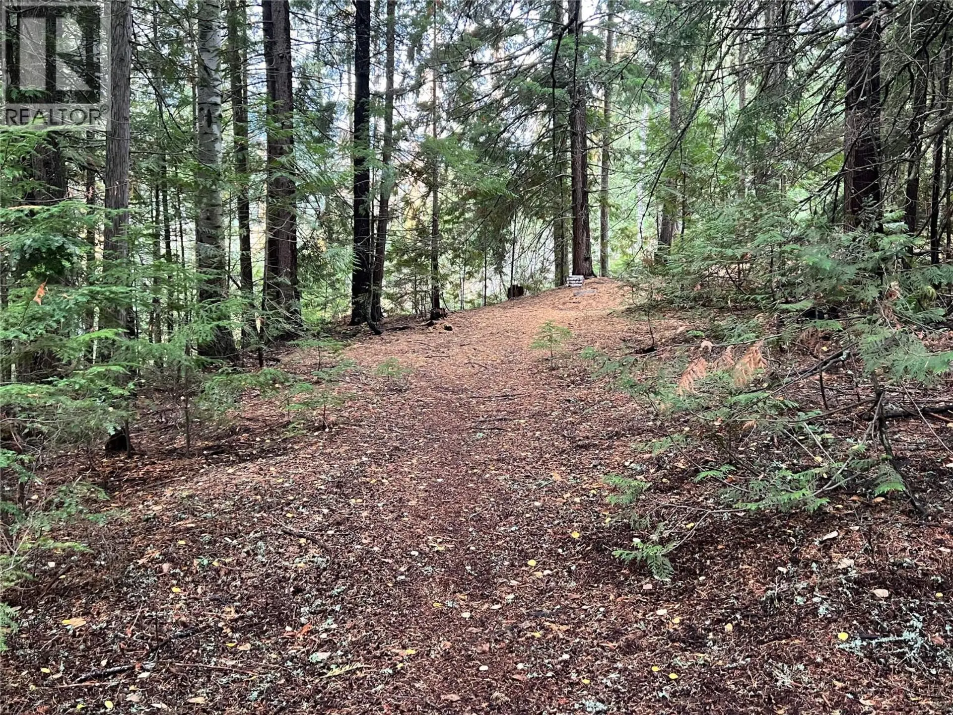 Property at 766 DRAKES ROAD, Rossland, BC