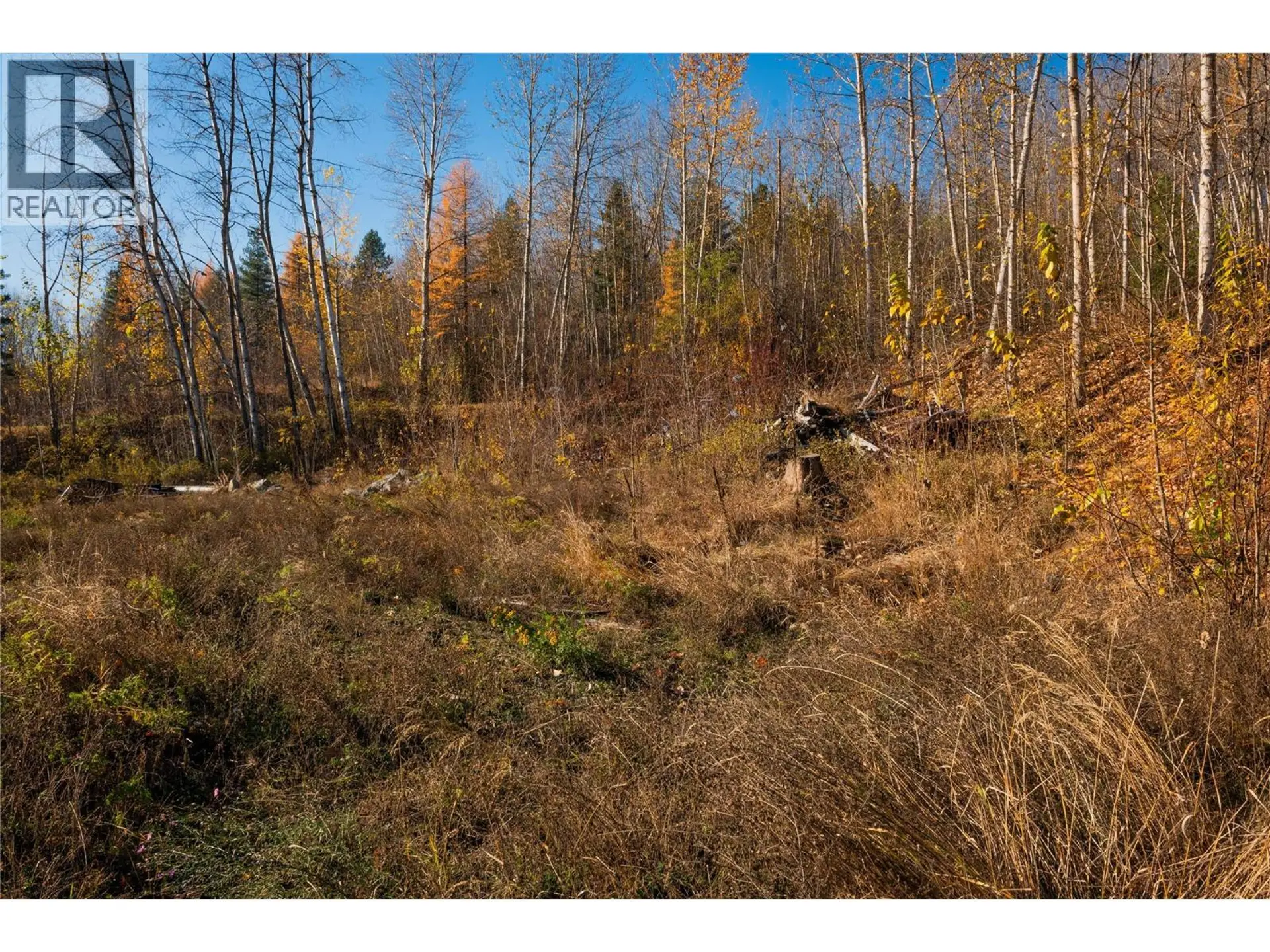 Property at 220 WHITMAN WAY, Warfield, BC