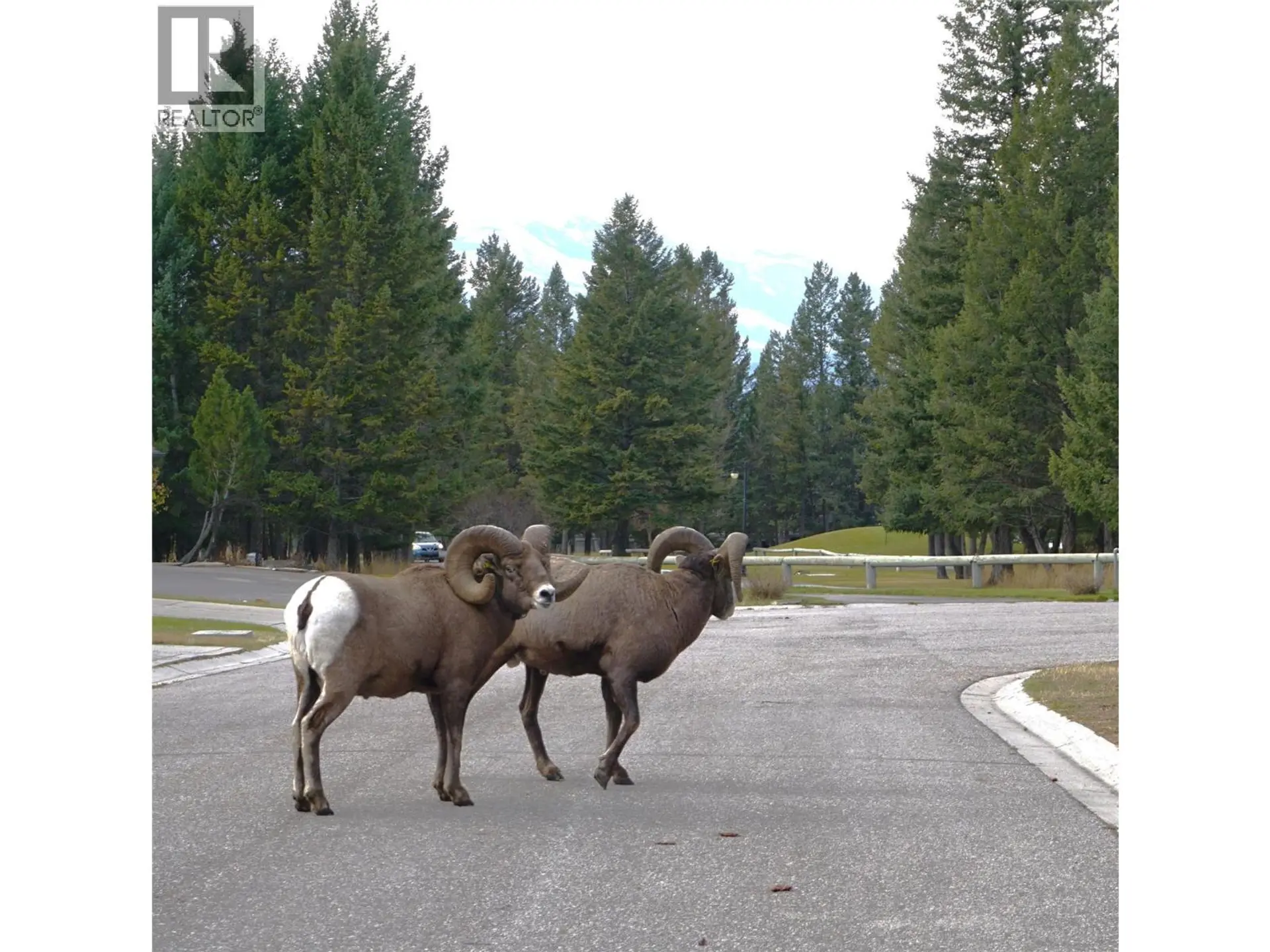 Property at #931 900 BIGHORN BOULEVARD LOT# 154, Radium Hot Springs, BC