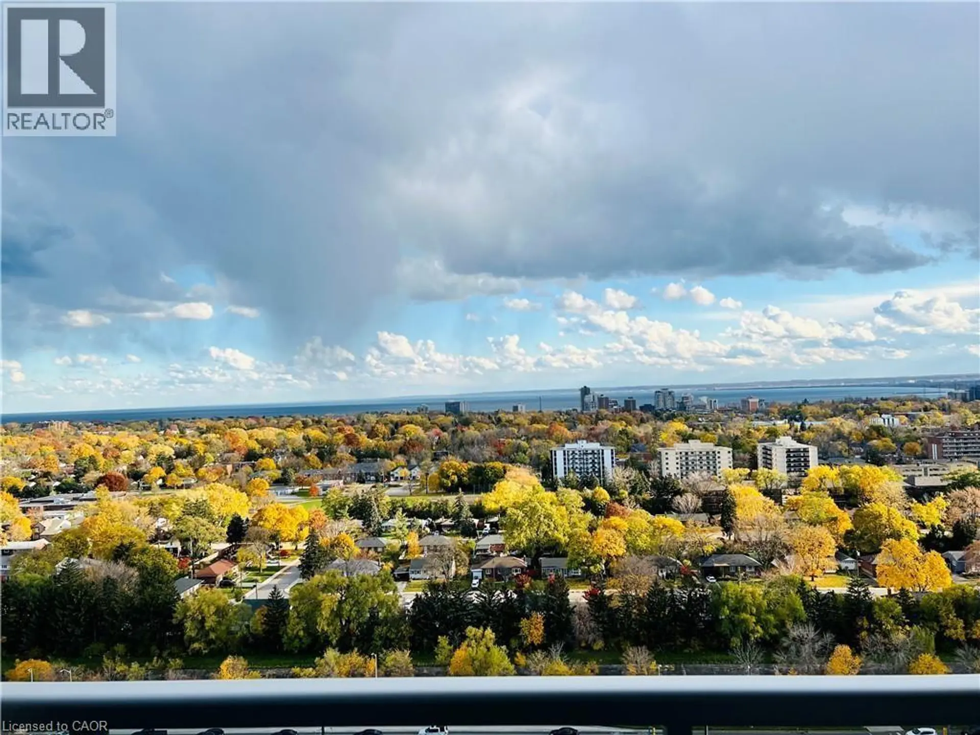 #1803 2081 FAIRVIEW STREET - Image 12