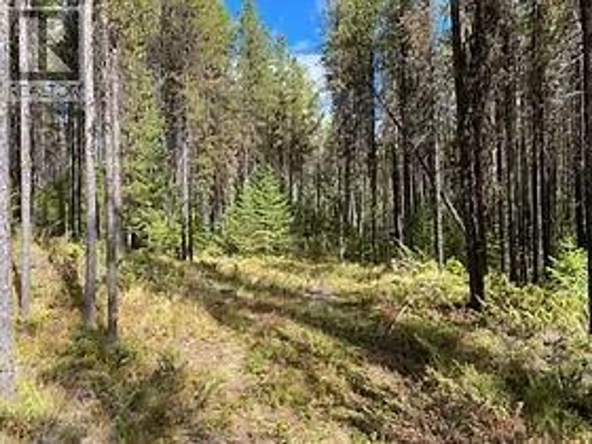 Property at #LOT 10 8930 33 HIGHWAY, Beaverdell, BC