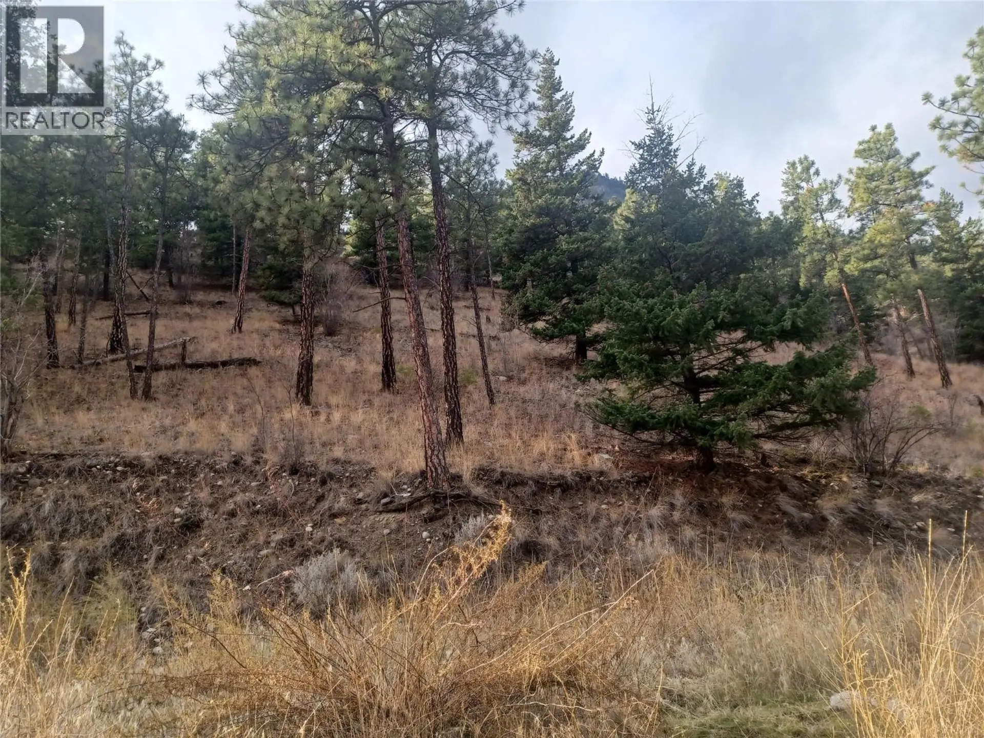 Property at 117 HUNT ROAD LOT# 4, Lillooet, BC