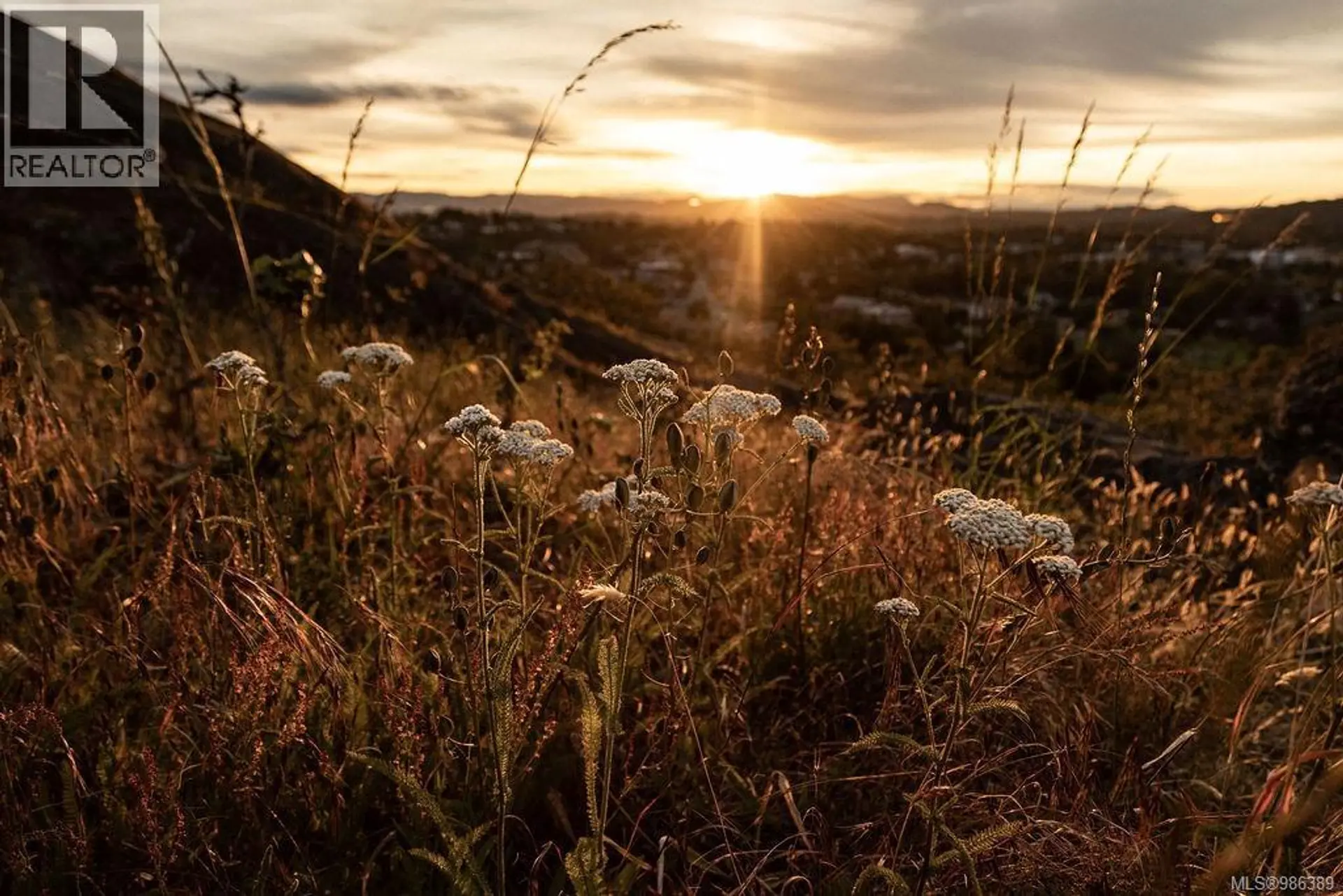 Property at #4-203 4201 TYNDALL AVE, Saanich, BC