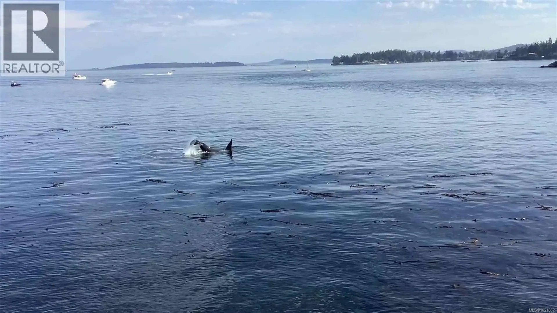 Property at 0 FERNIE ISLAND, Gulf Islands, BC