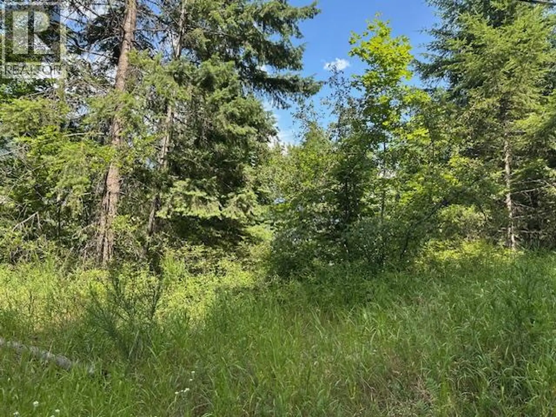 Property at LOT B GOVERNMENT STREET, Nelson, BC