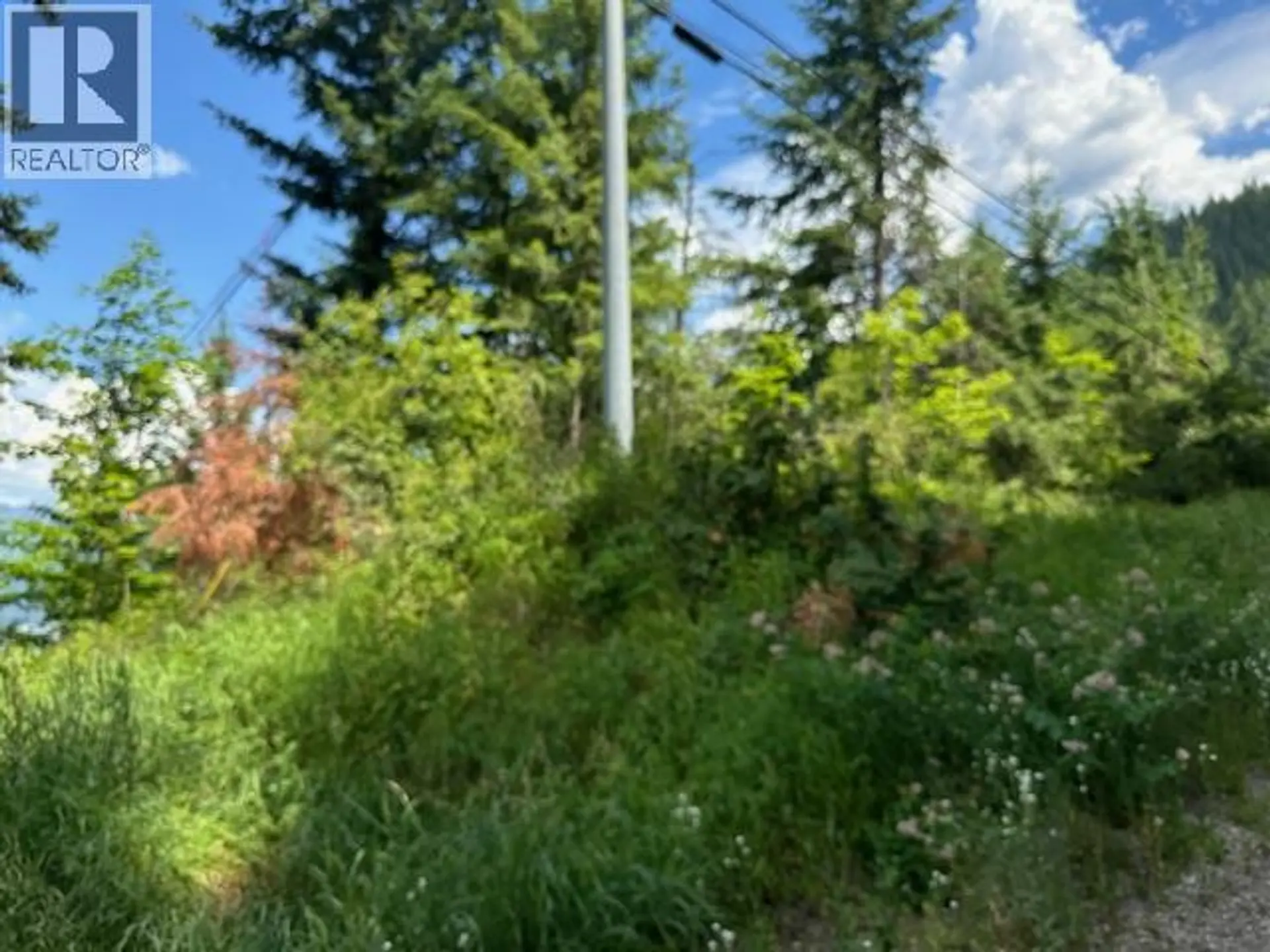 Property at LOT B GOVERNMENT STREET, Nelson, BC