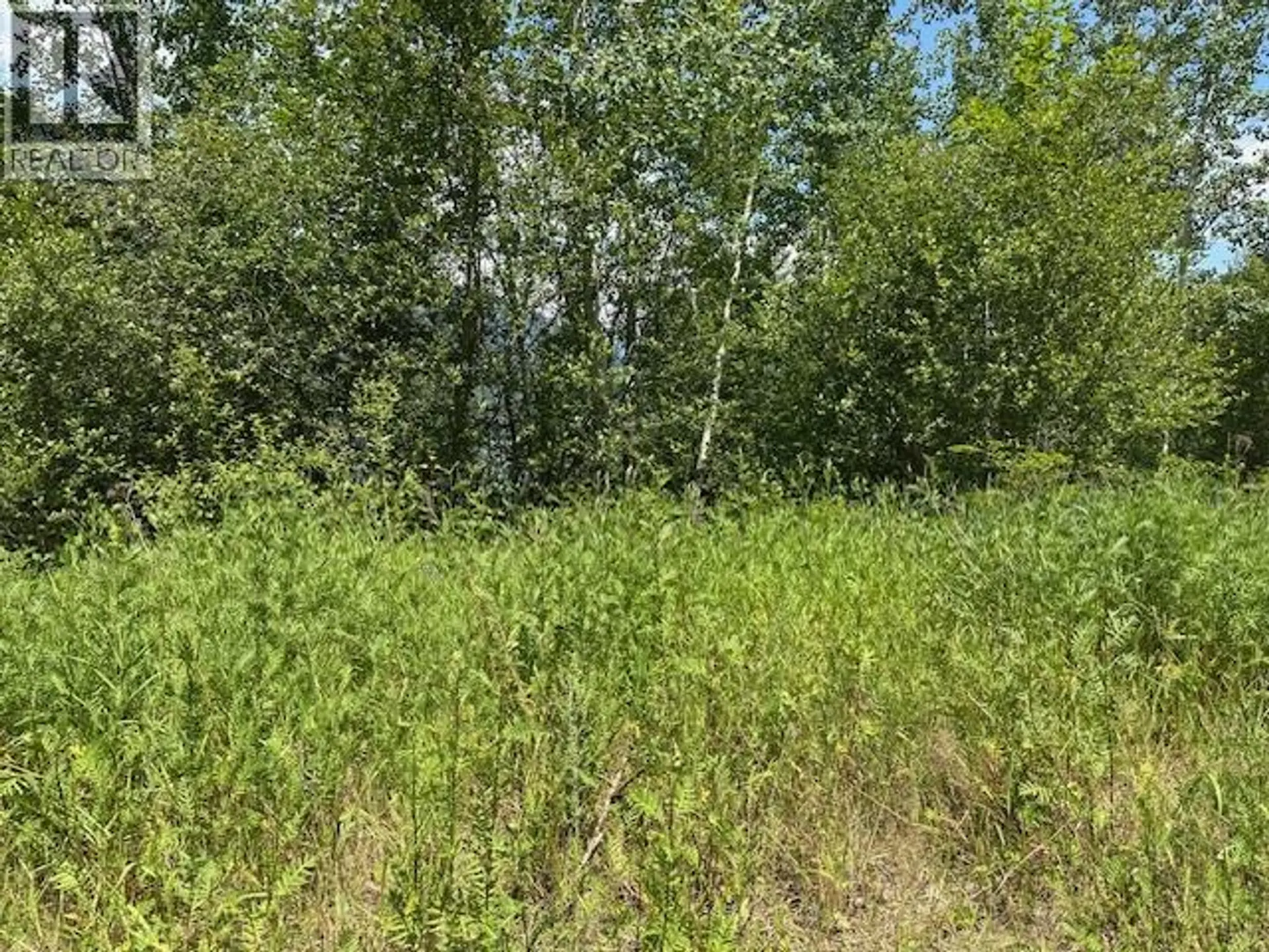 Property at LOT B GOVERNMENT STREET, Nelson, BC