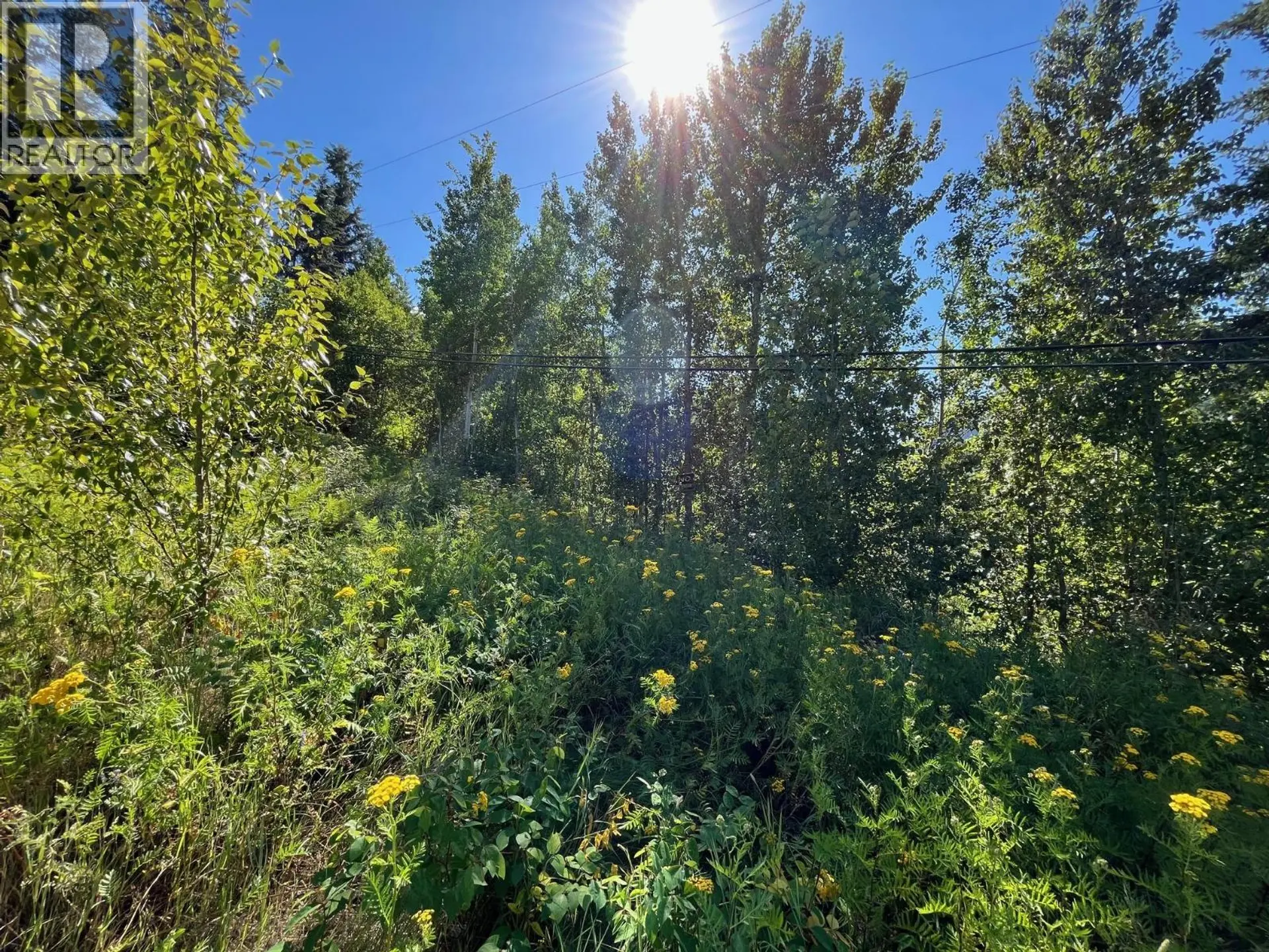 Property at LOT B GOVERNMENT STREET, Nelson, BC