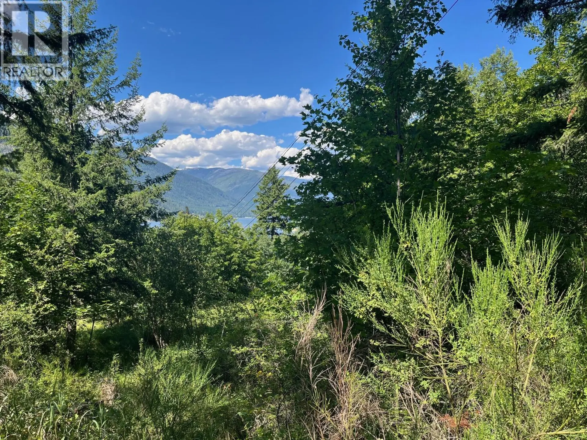 Property at LOT B GOVERNMENT STREET, Nelson, BC