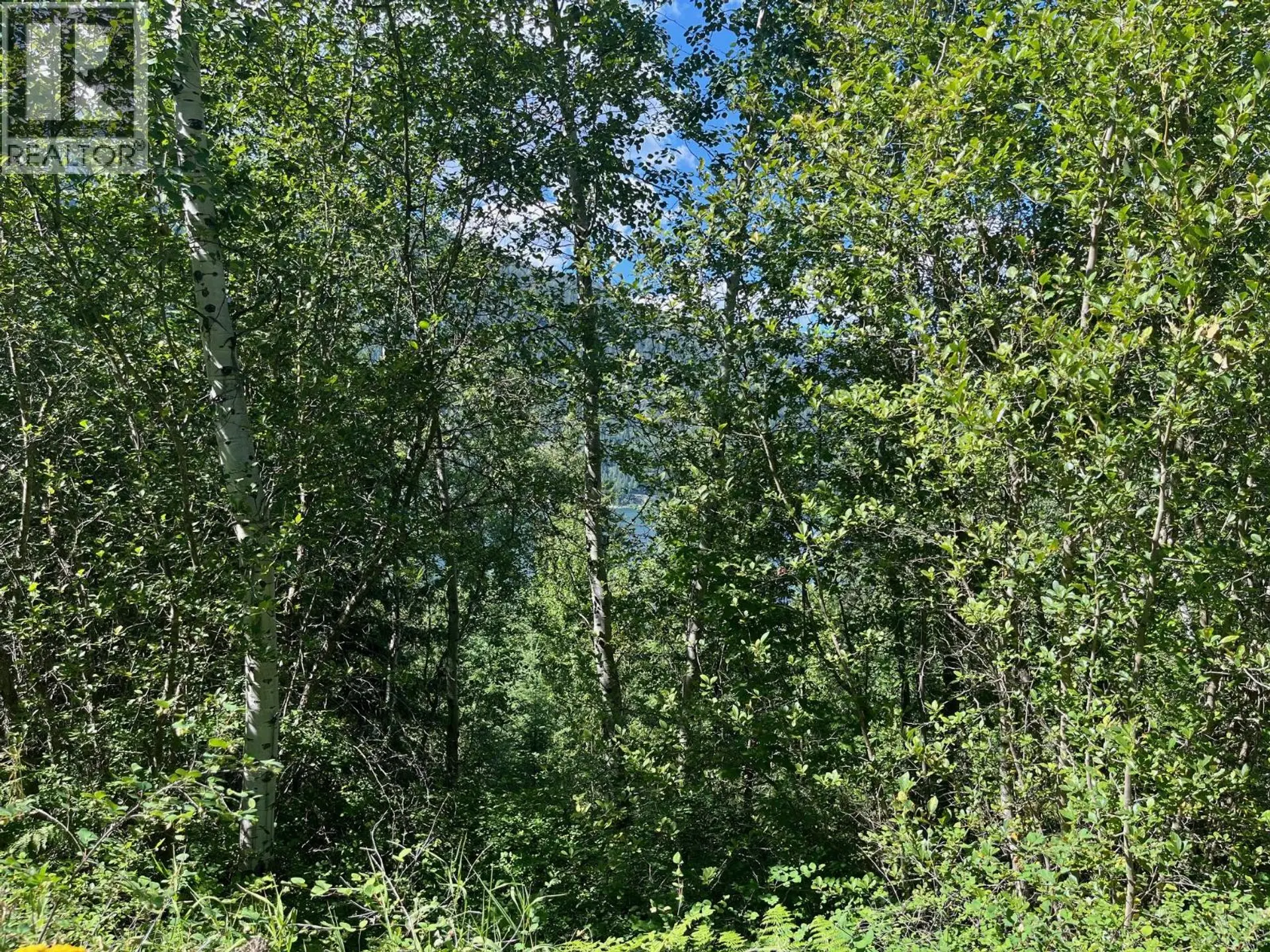 Property at LOT B GOVERNMENT STREET, Nelson, BC