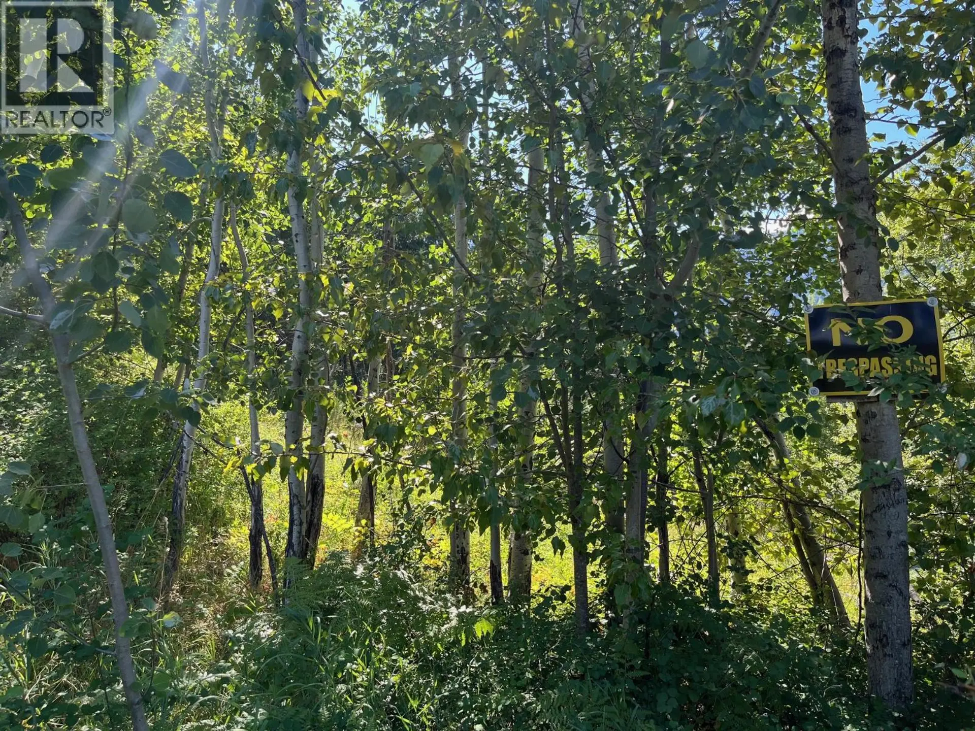 Property at LOT B GOVERNMENT STREET, Nelson, BC