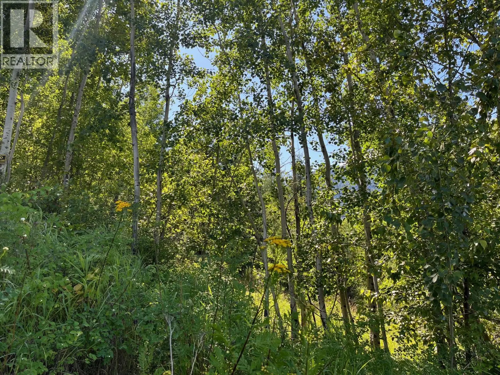 Property at LOT B GOVERNMENT STREET, Nelson, BC