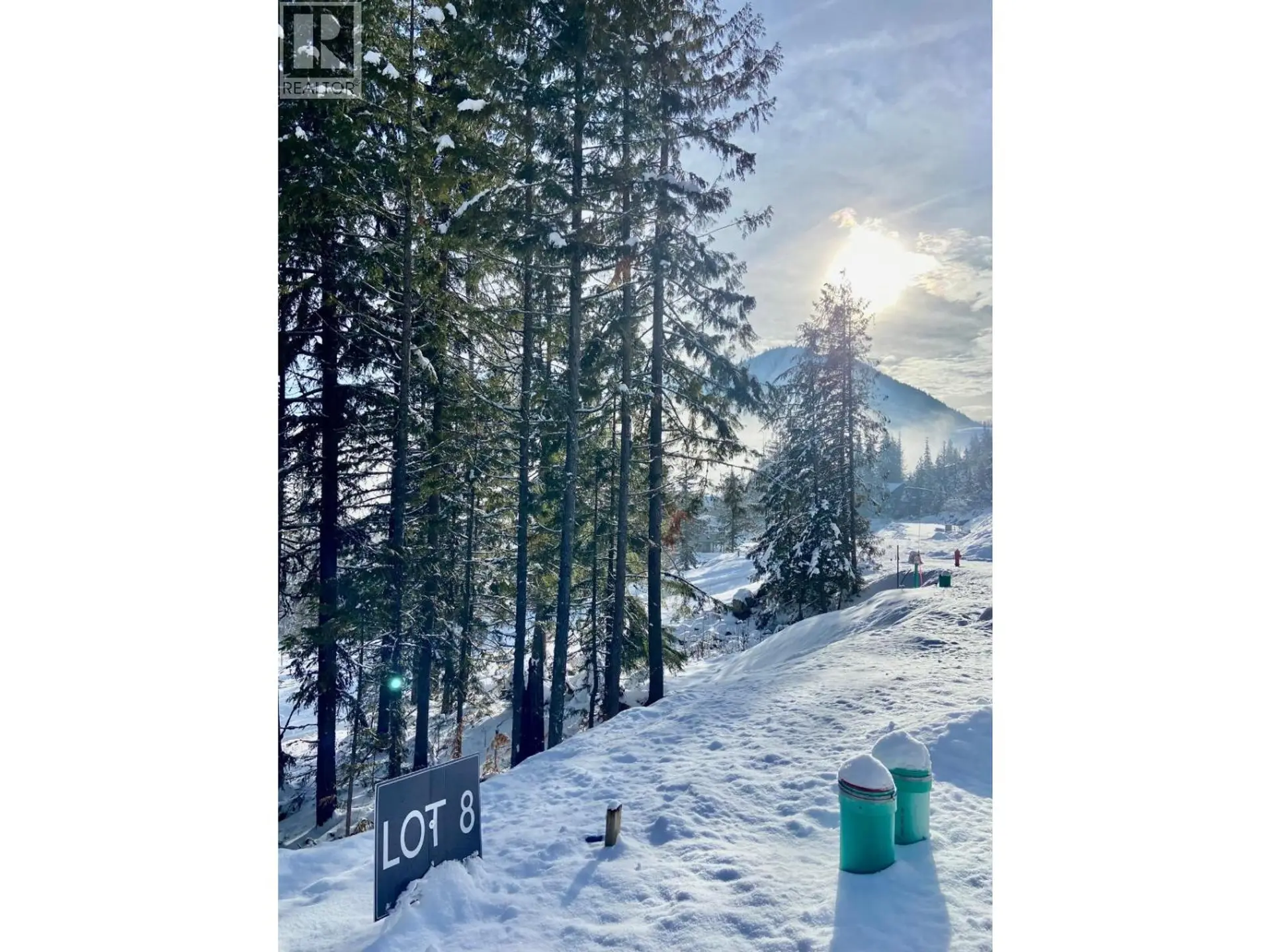 Property at 106 TOPPING TERRACE, Rossland, BC