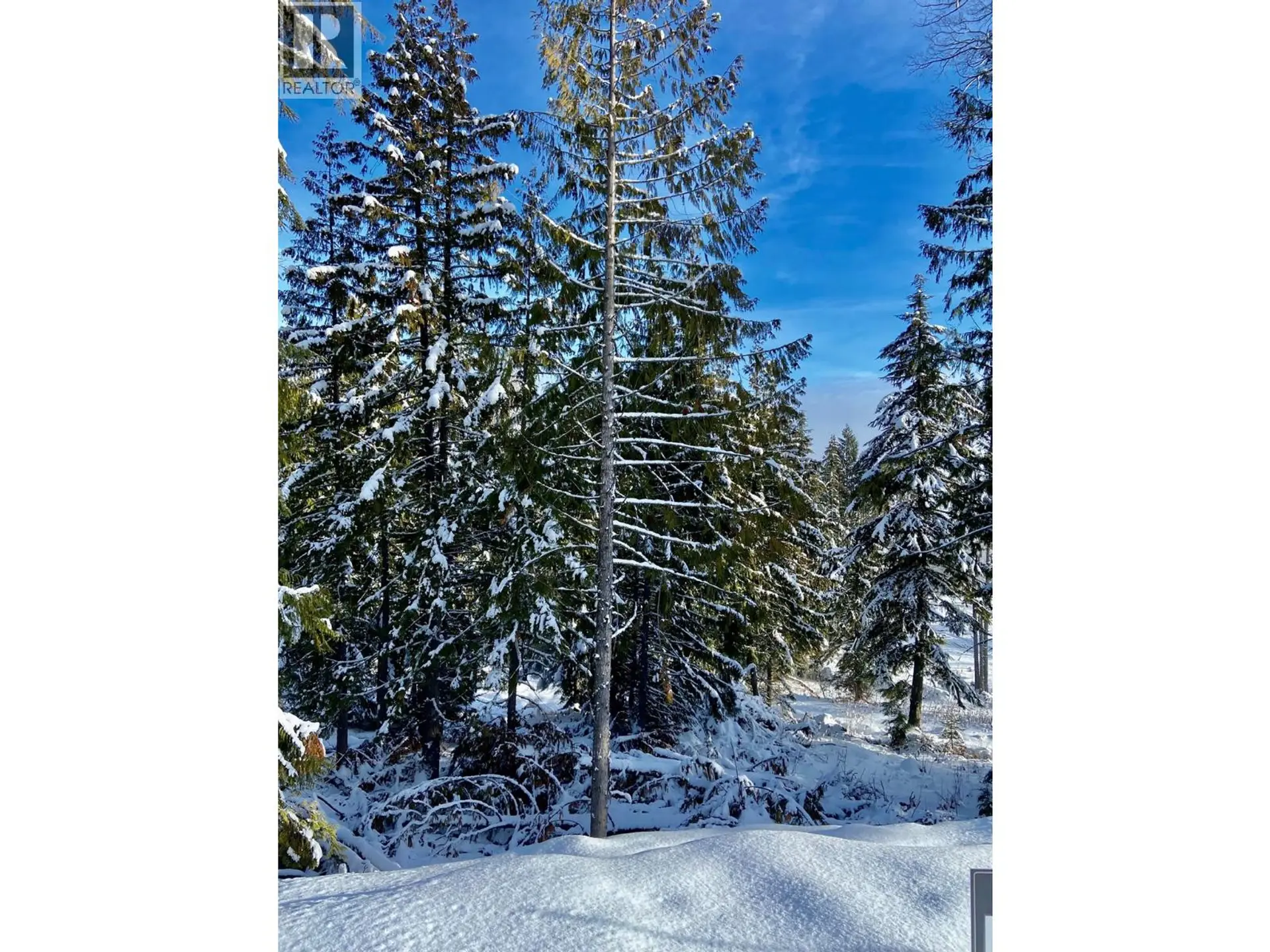 Property at 106 TOPPING TERRACE, Rossland, BC