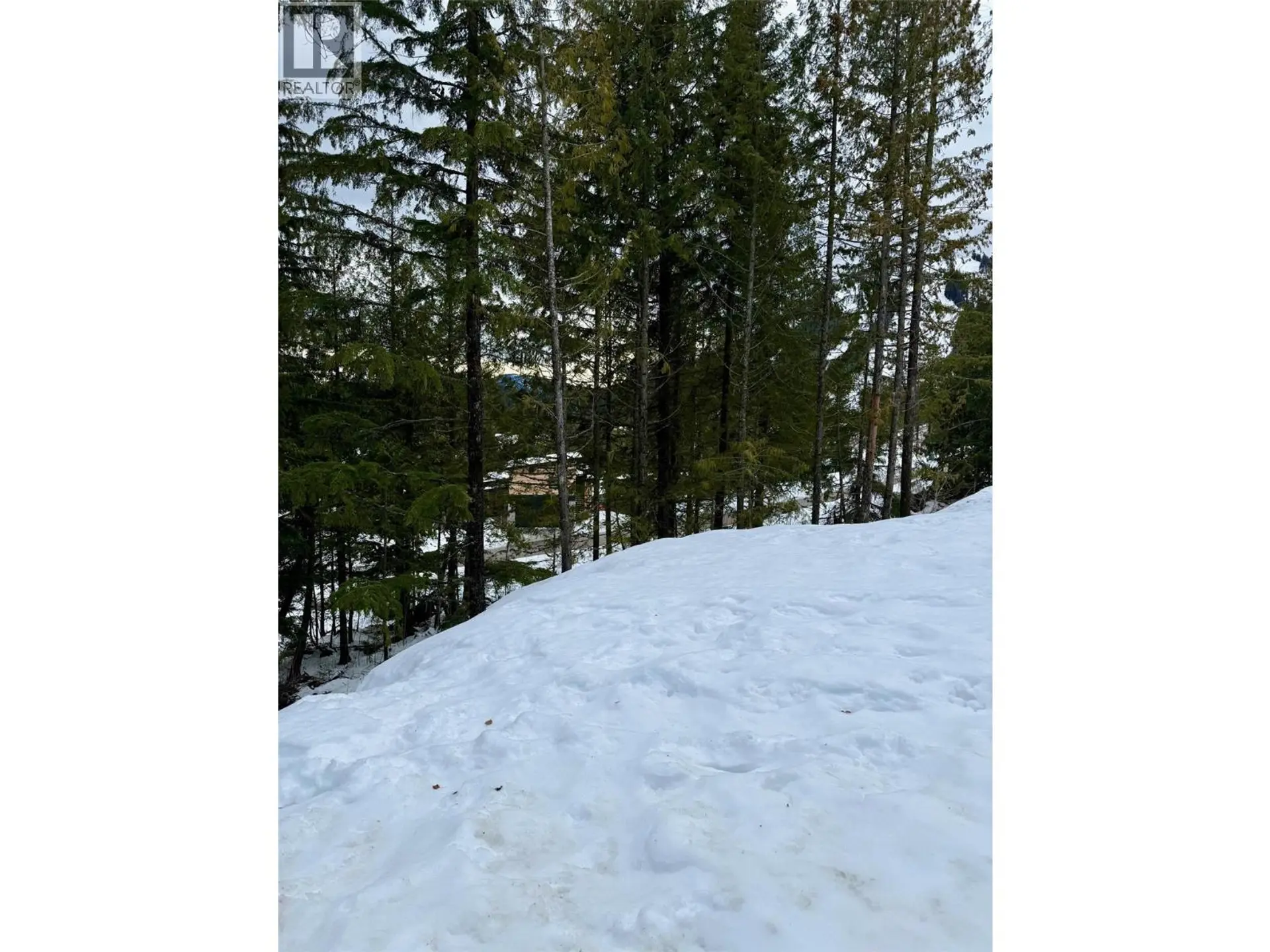 Property at 106 TOPPING TERRACE, Rossland, BC