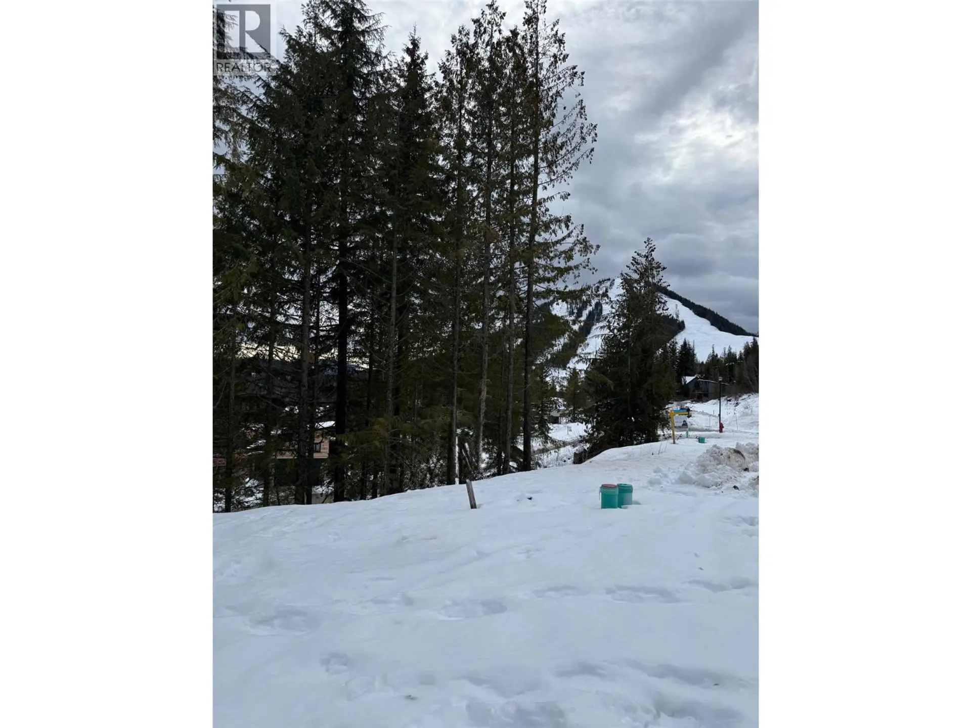 Property at 106 TOPPING TERRACE, Rossland, BC