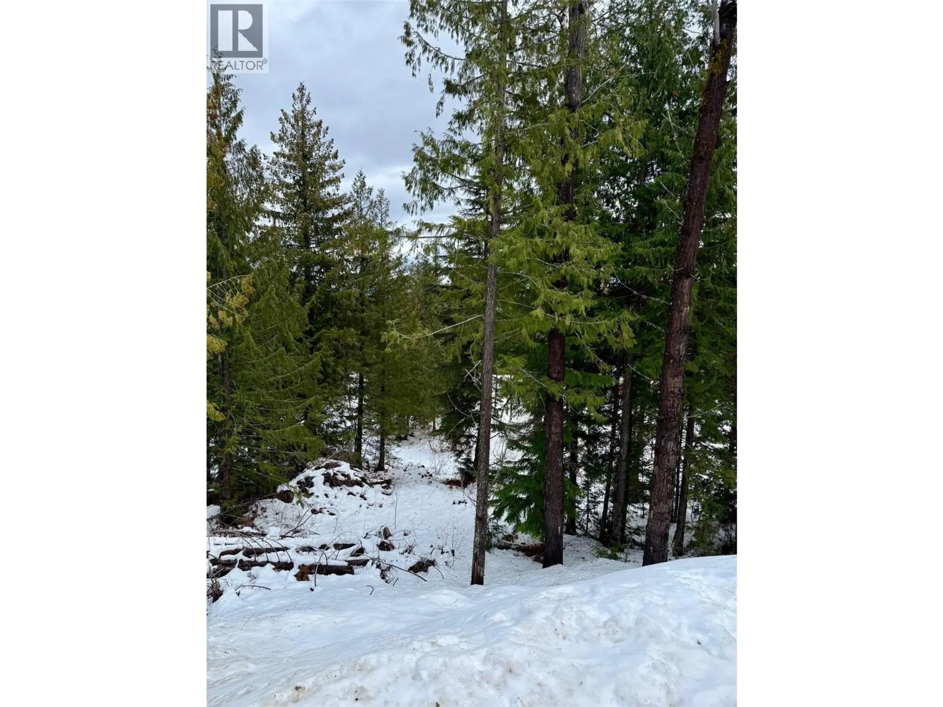 Property at 106 TOPPING TERRACE, Rossland, BC