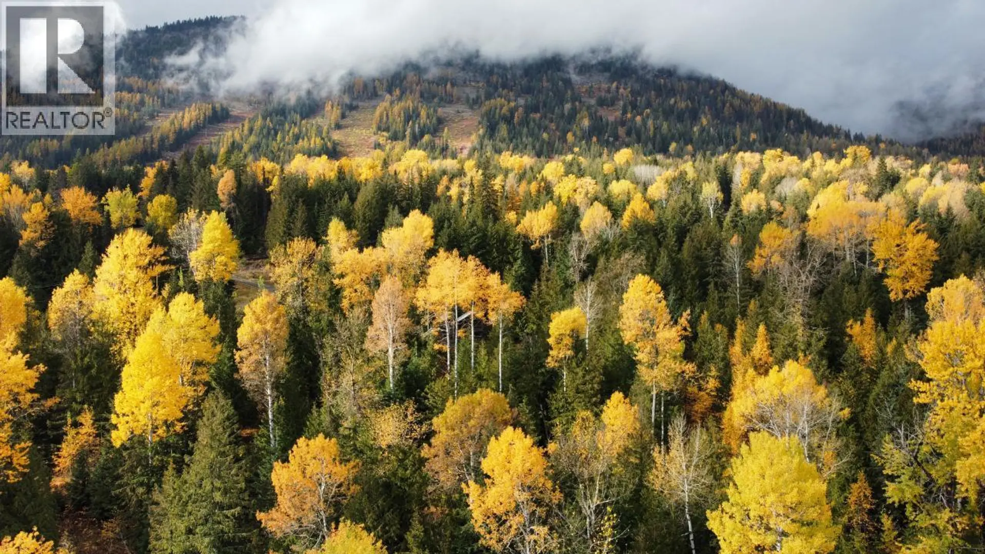 Property at 308 RIDGE ROAD, Rossland, BC