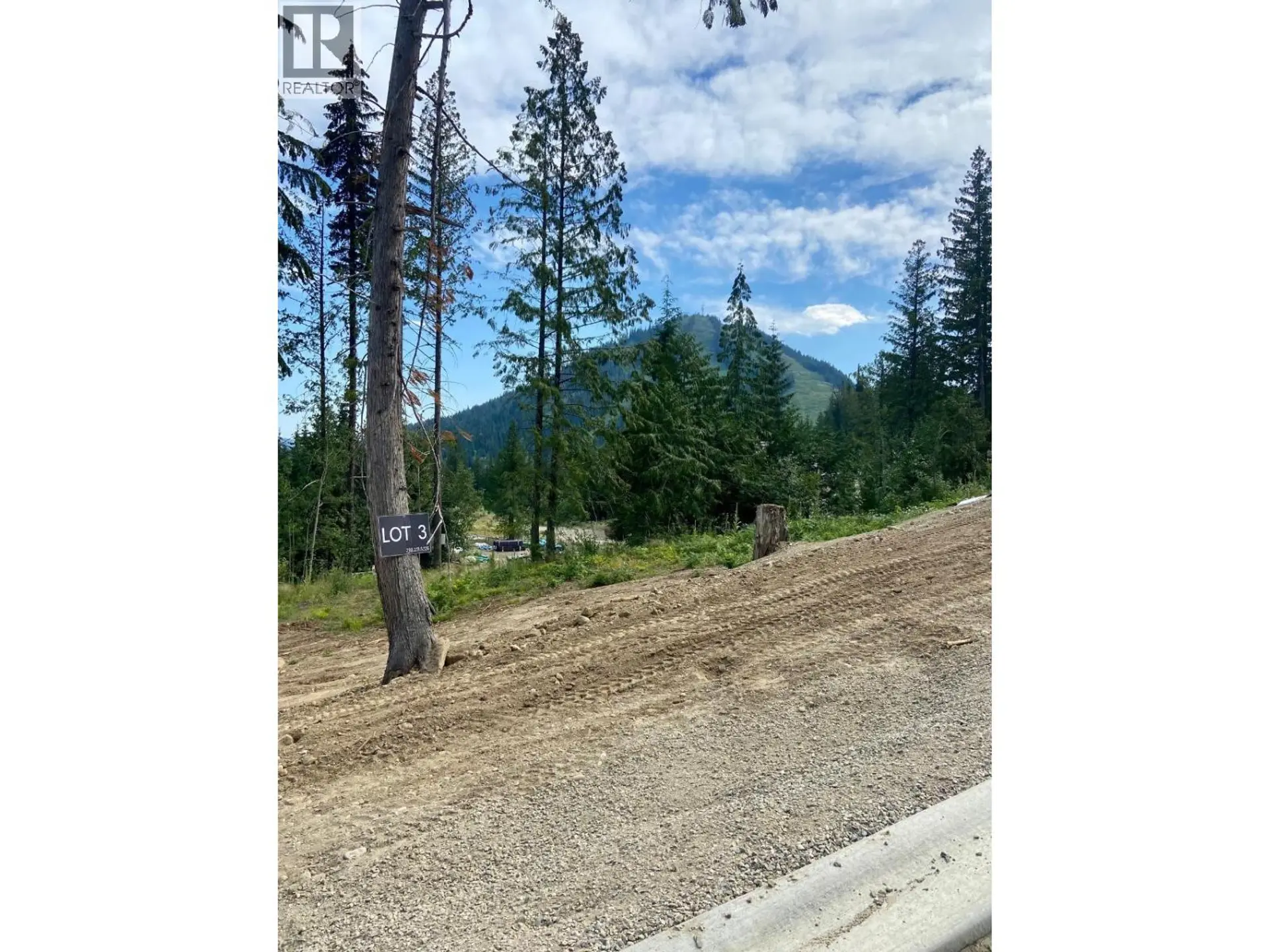Property at 308 RIDGE ROAD, Rossland, BC