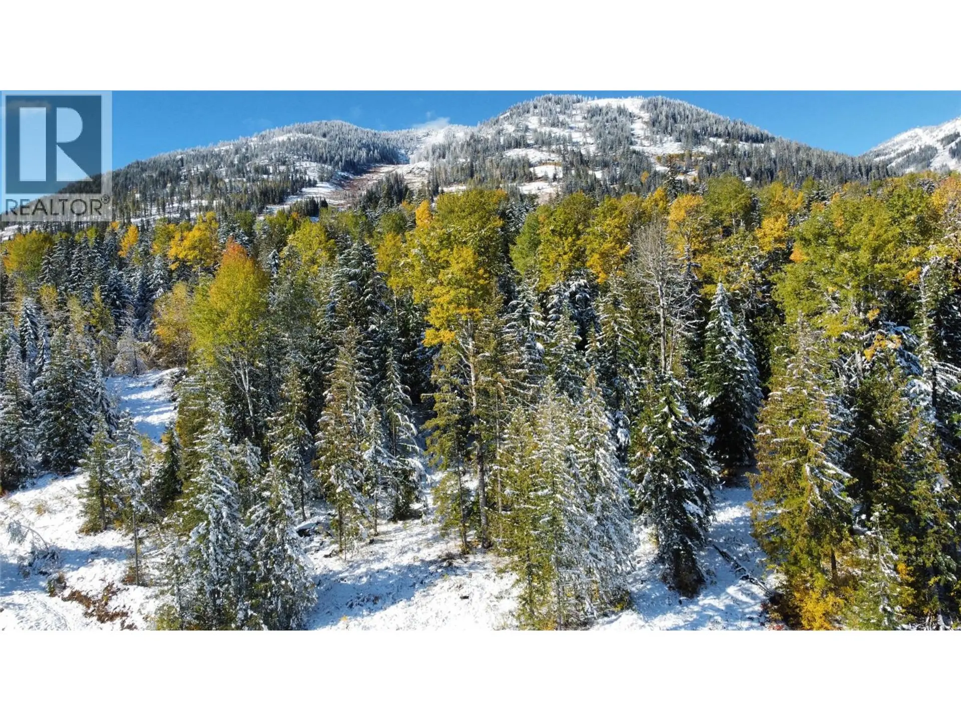 Property at 110 TOPPING TERRACE, Rossland, BC