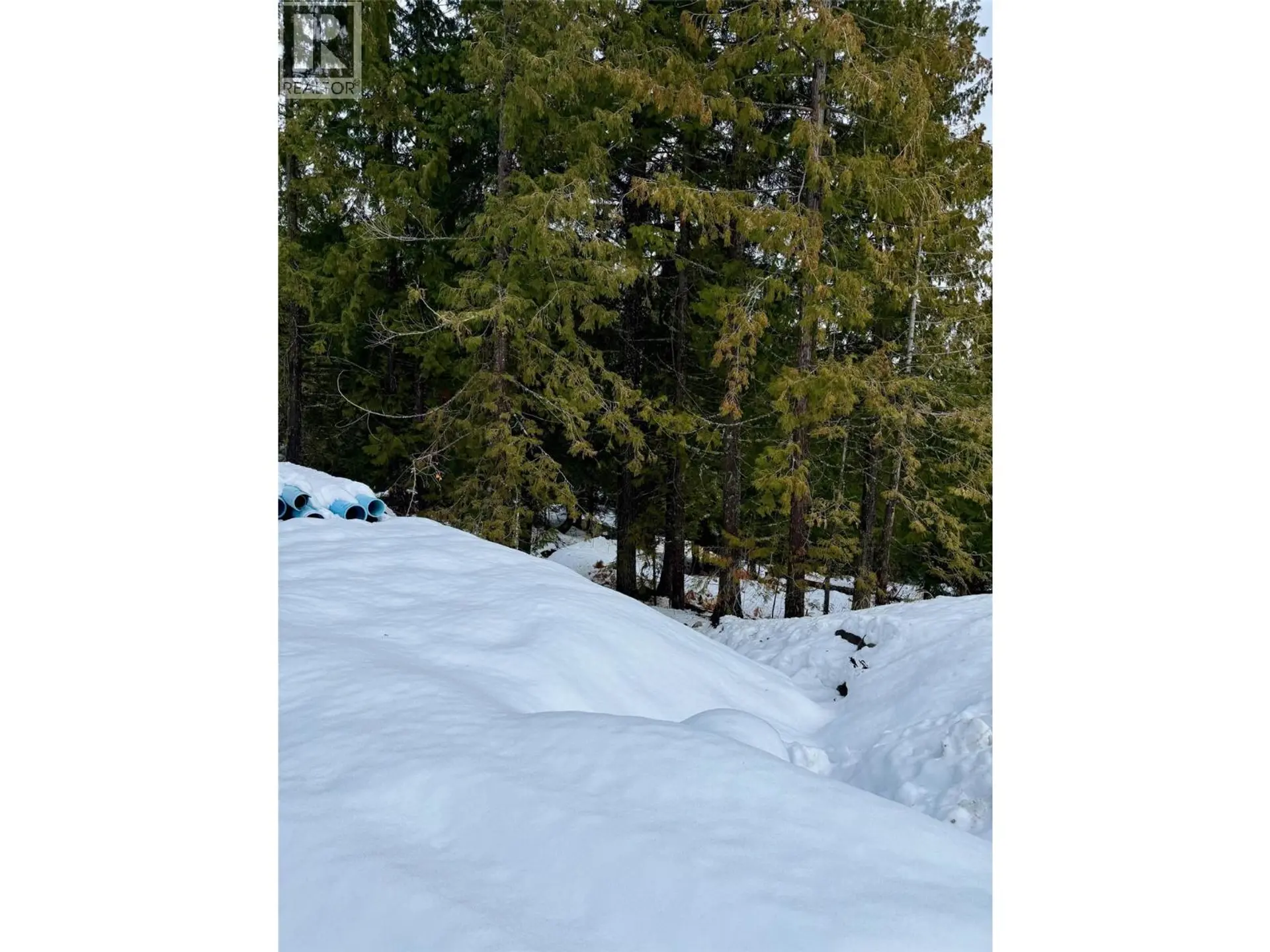 Property at 110 TOPPING TERRACE, Rossland, BC