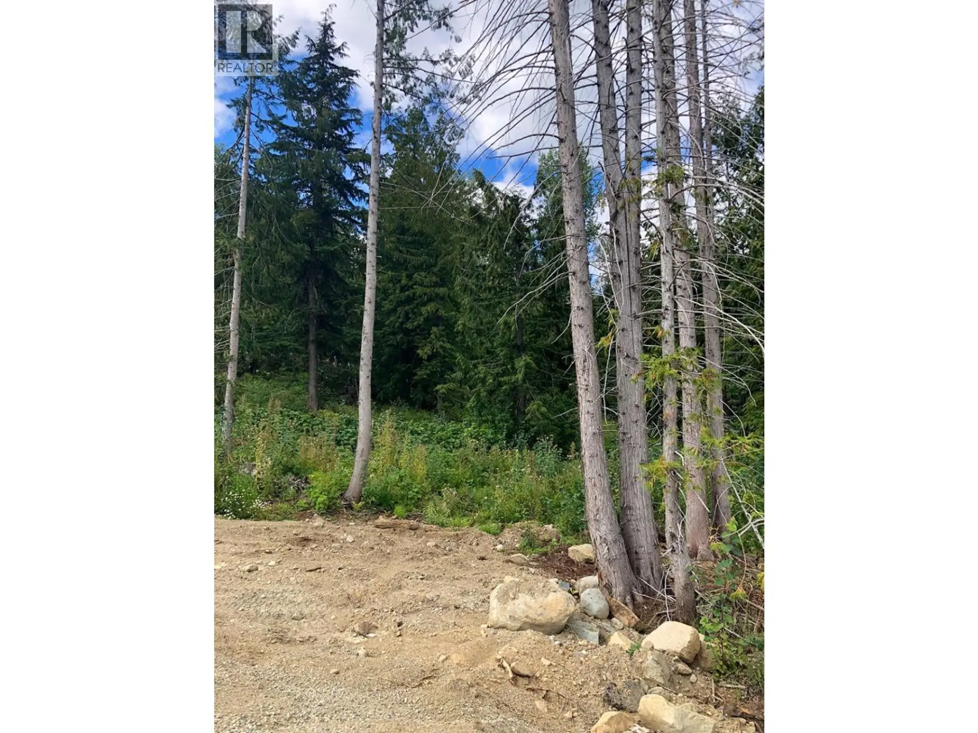 Property at 311 RIDGE ROAD, Rossland, BC