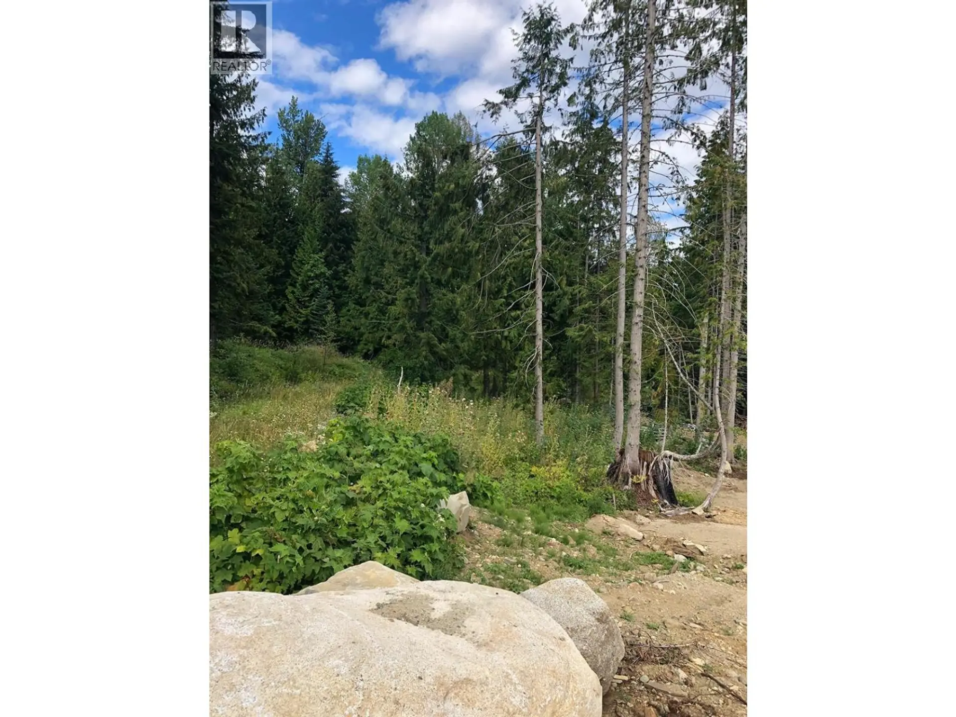 Property at 311 RIDGE ROAD, Rossland, BC