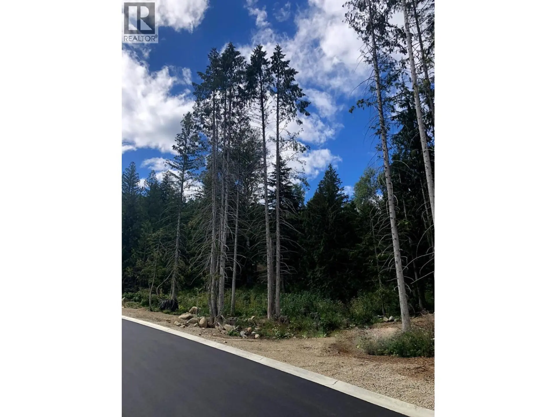 Property at 311 RIDGE ROAD, Rossland, BC