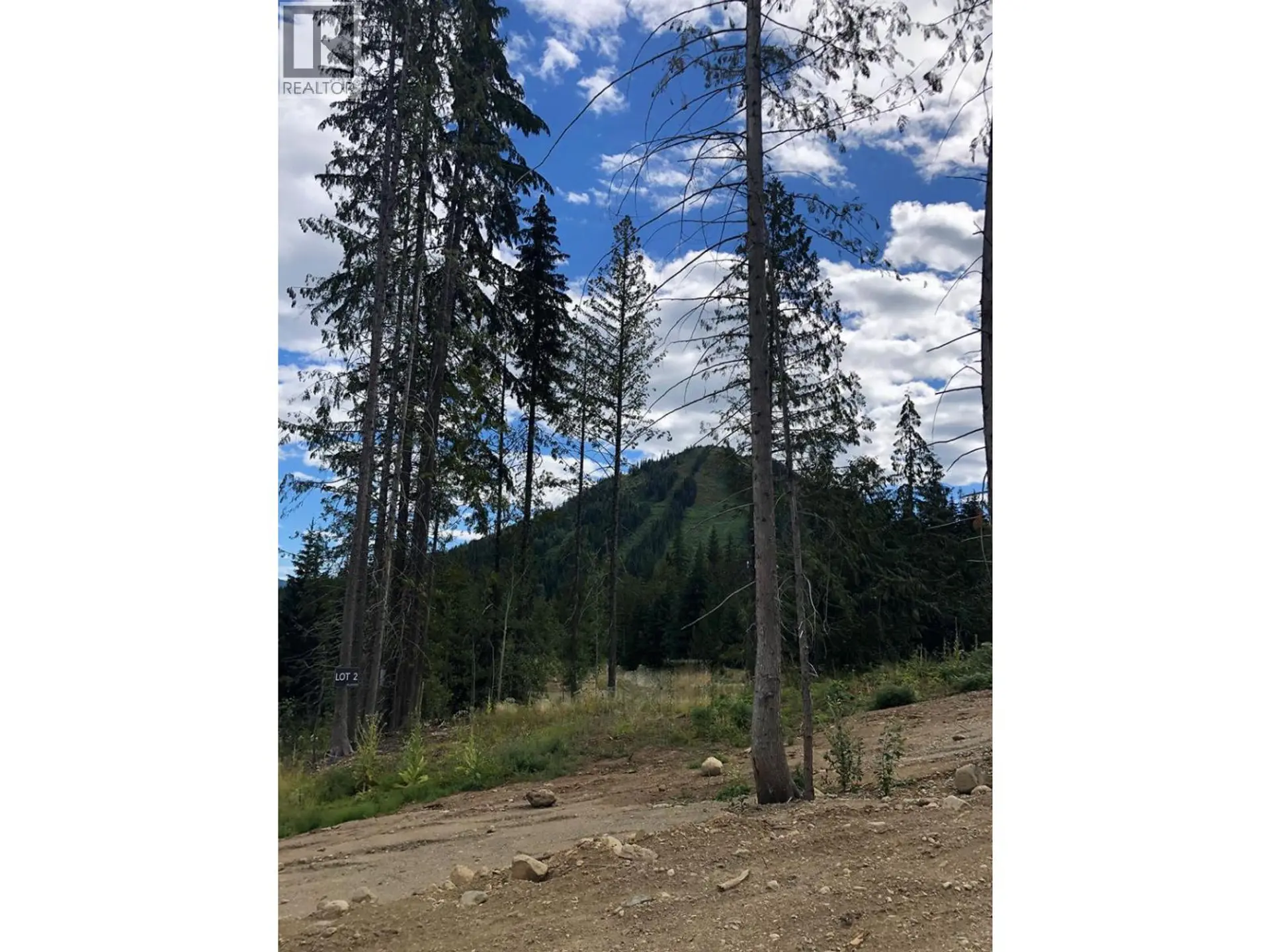 Property at 310 RIDGE ROAD, Rossland, BC