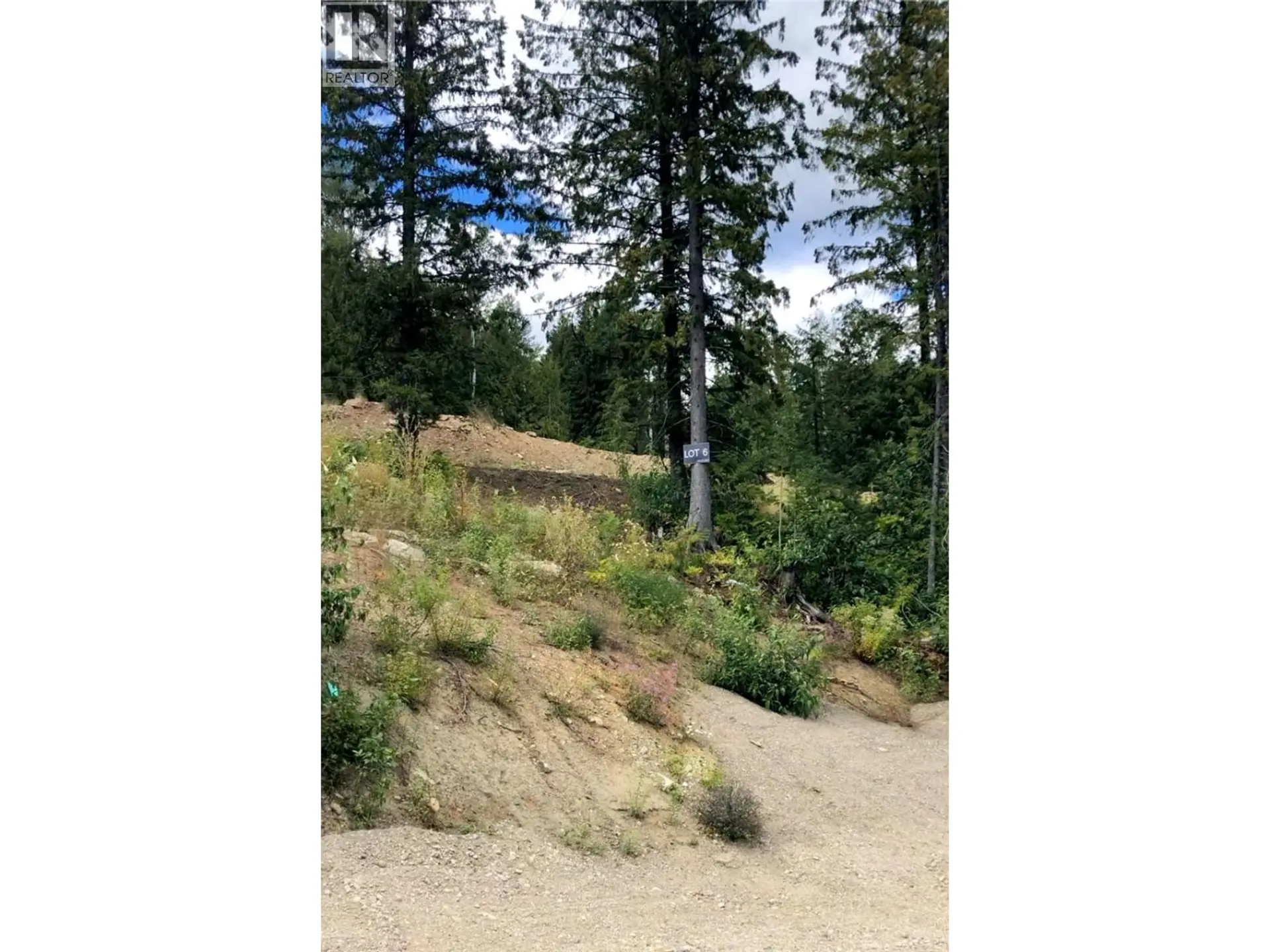 Property at 302 RIDGE ROAD, Rossland, BC