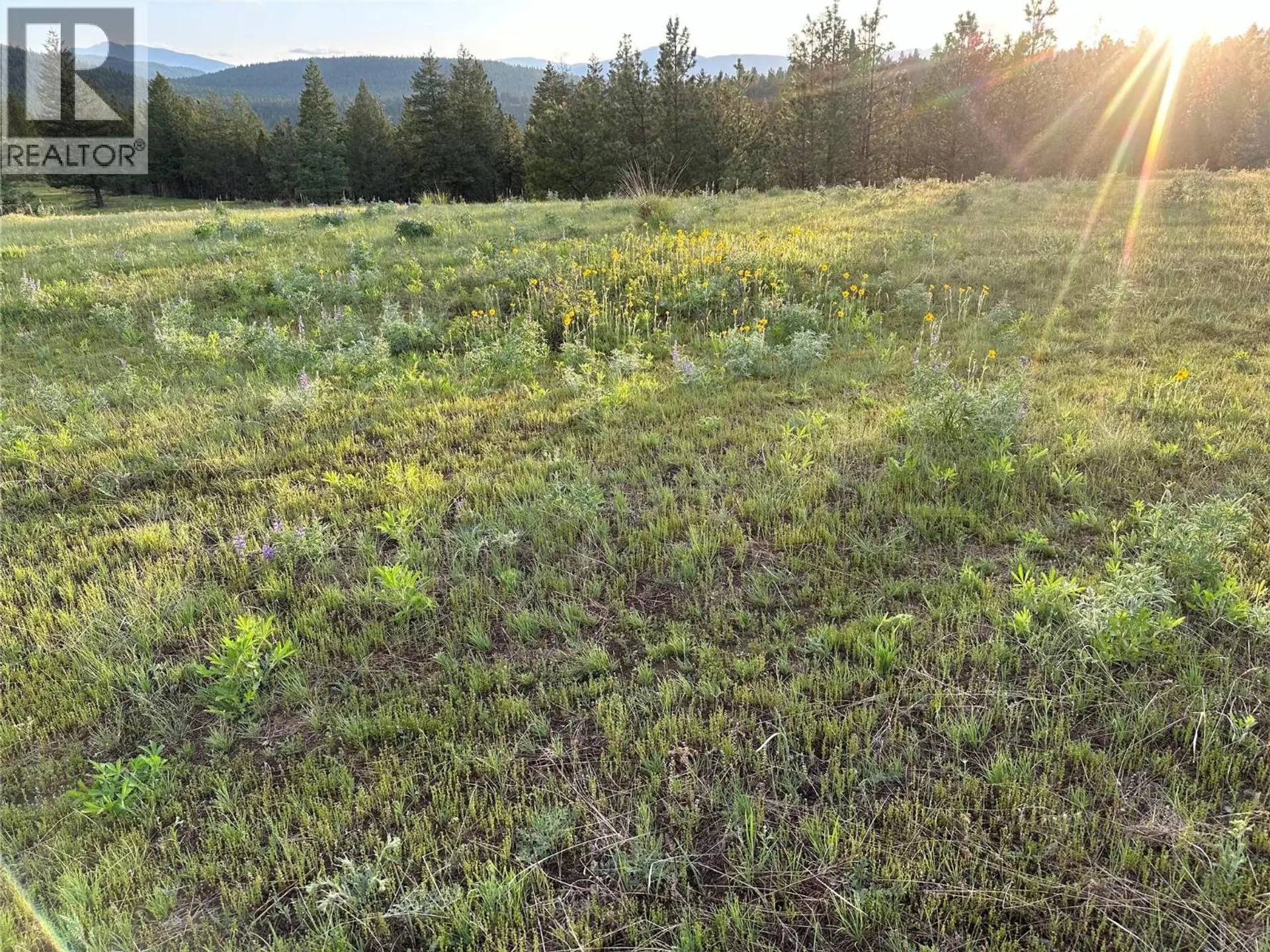 Property at 6145 PARNABY ROAD (LOT A9), Cranbrook, BC