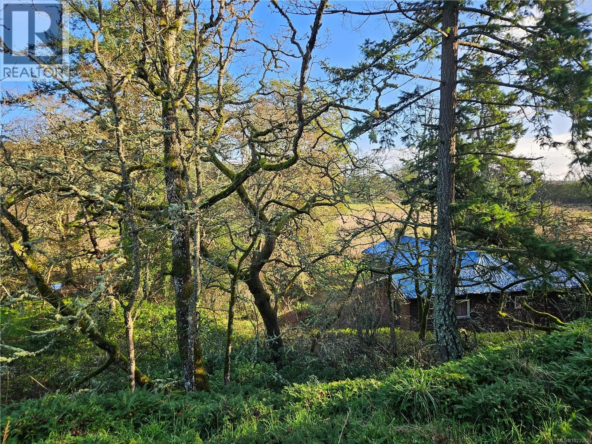 Property at 4299 BLENKINSOP RD, Saanich, BC