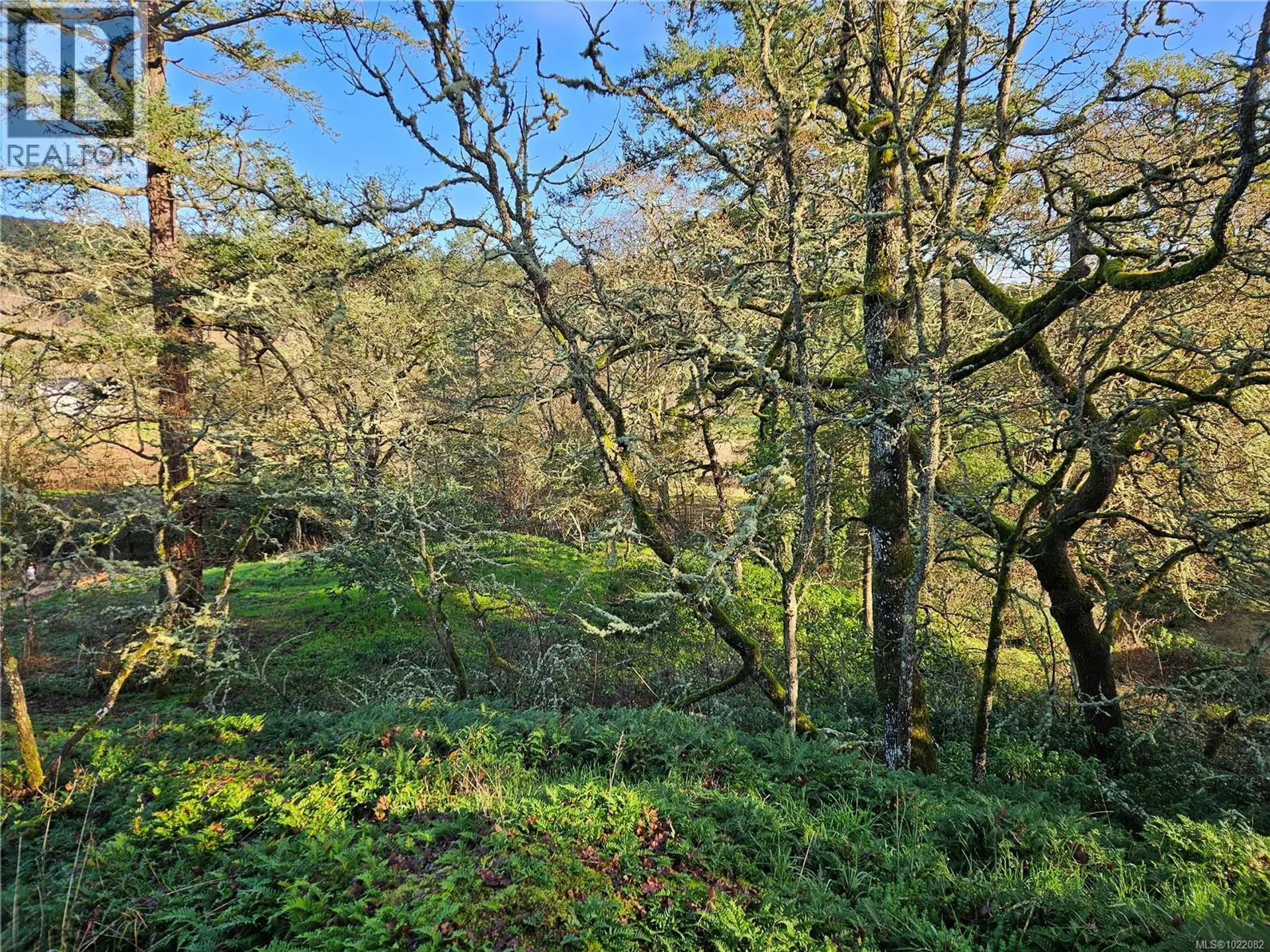 Property at 4299 BLENKINSOP RD, Saanich, BC