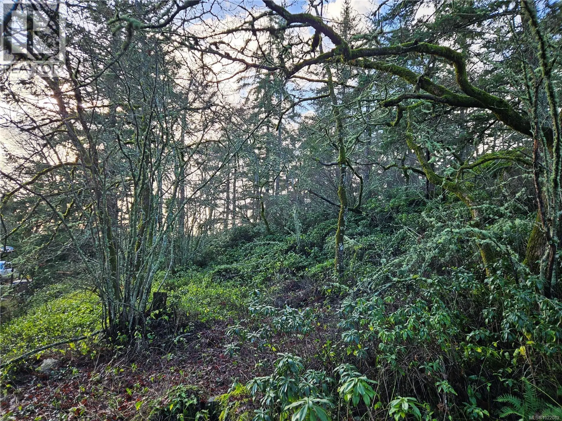 Property at 4299 BLENKINSOP RD, Saanich, BC