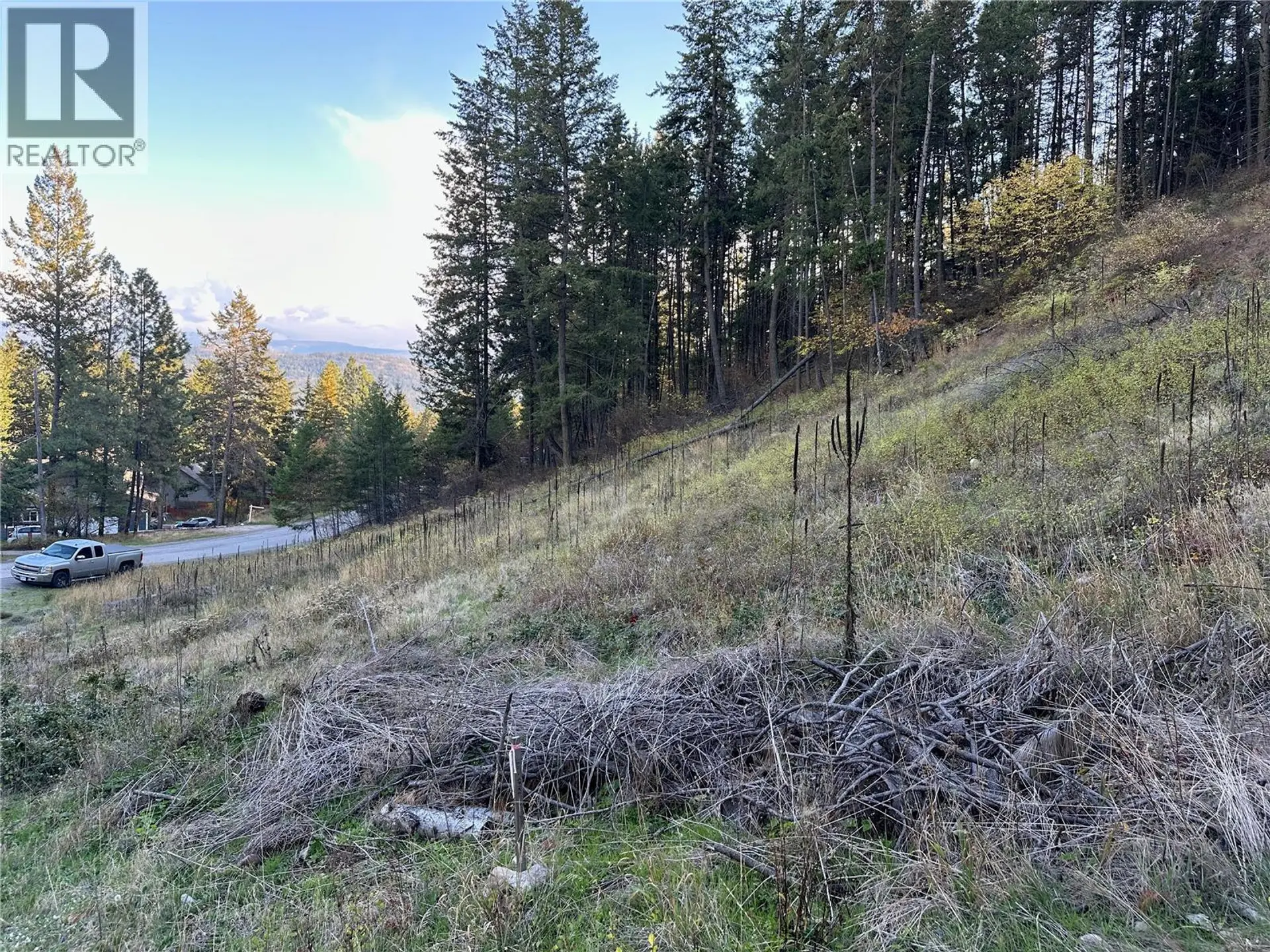 Property at 10732 WESTSHORE ROAD, Vernon, BC