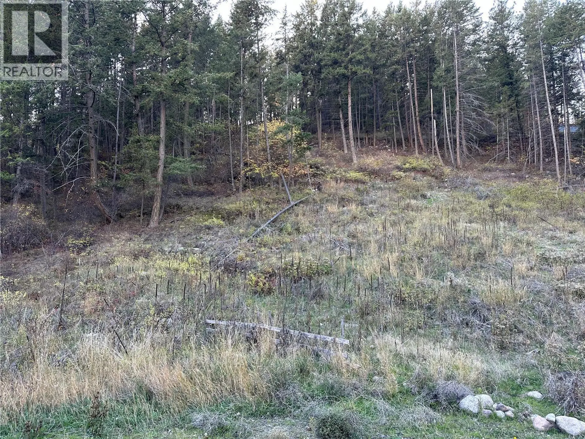 Property at 10732 WESTSHORE ROAD, Vernon, BC