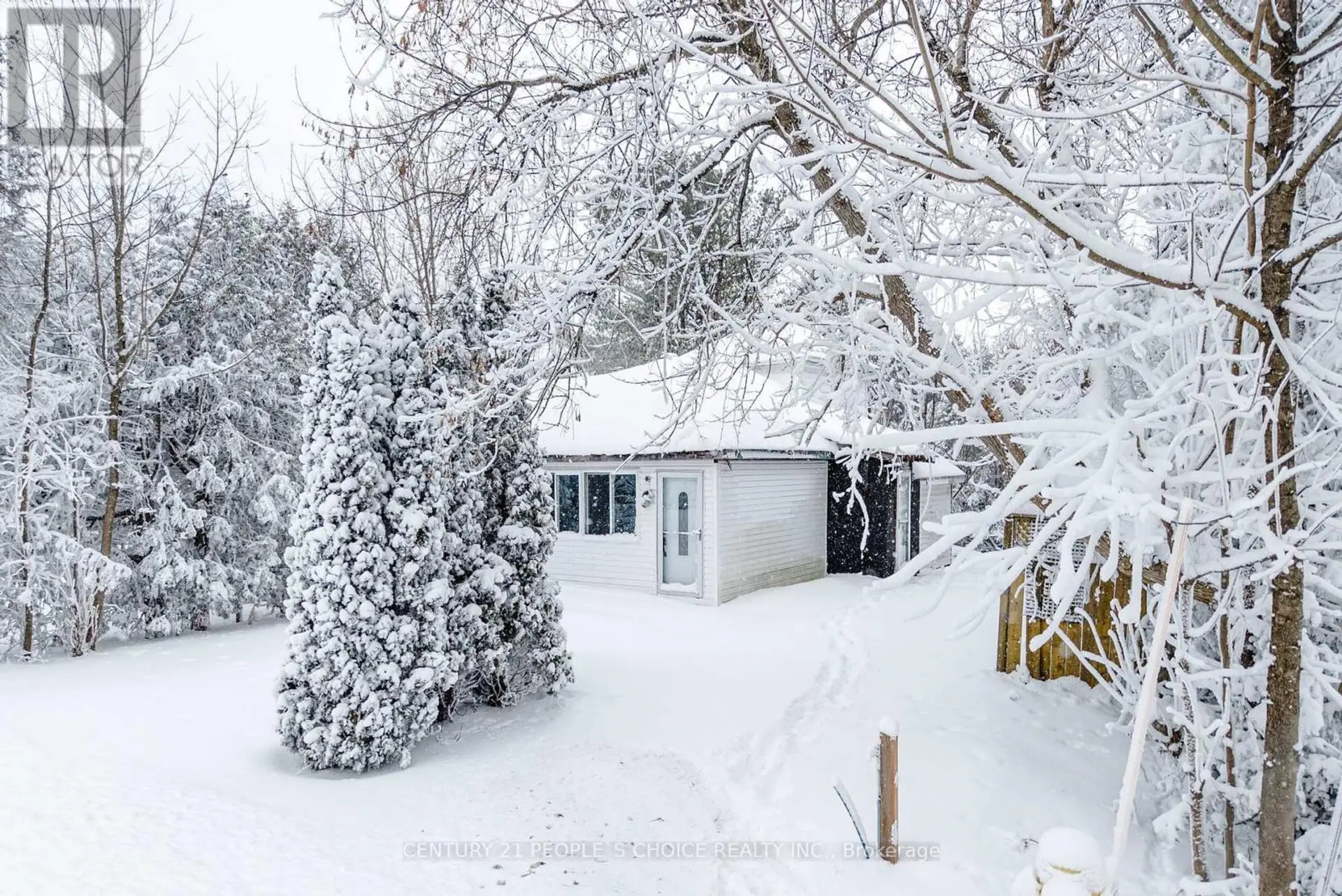 250 KINGFISHER AVENUE - Image 16