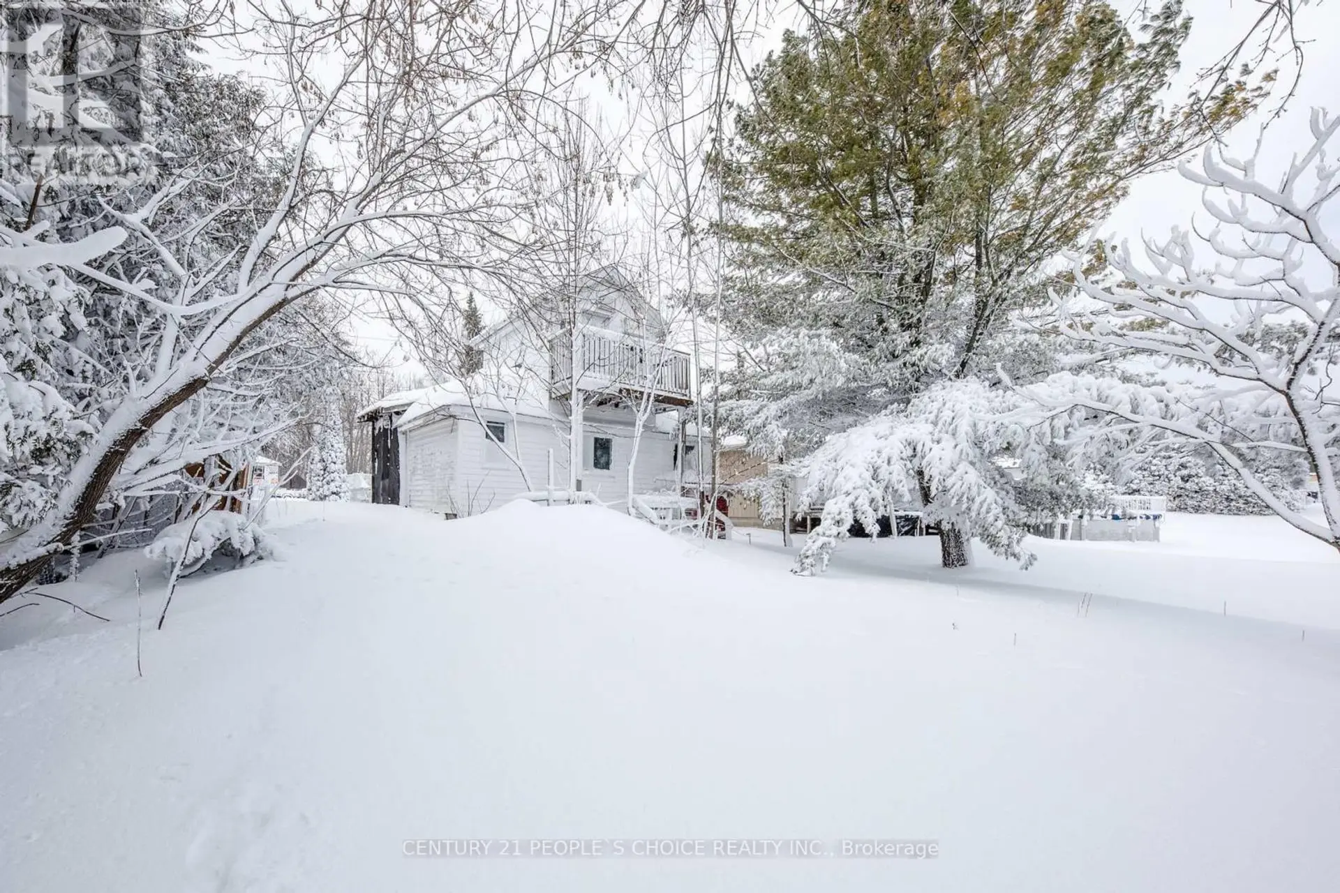 250 KINGFISHER AVENUE - Image 17