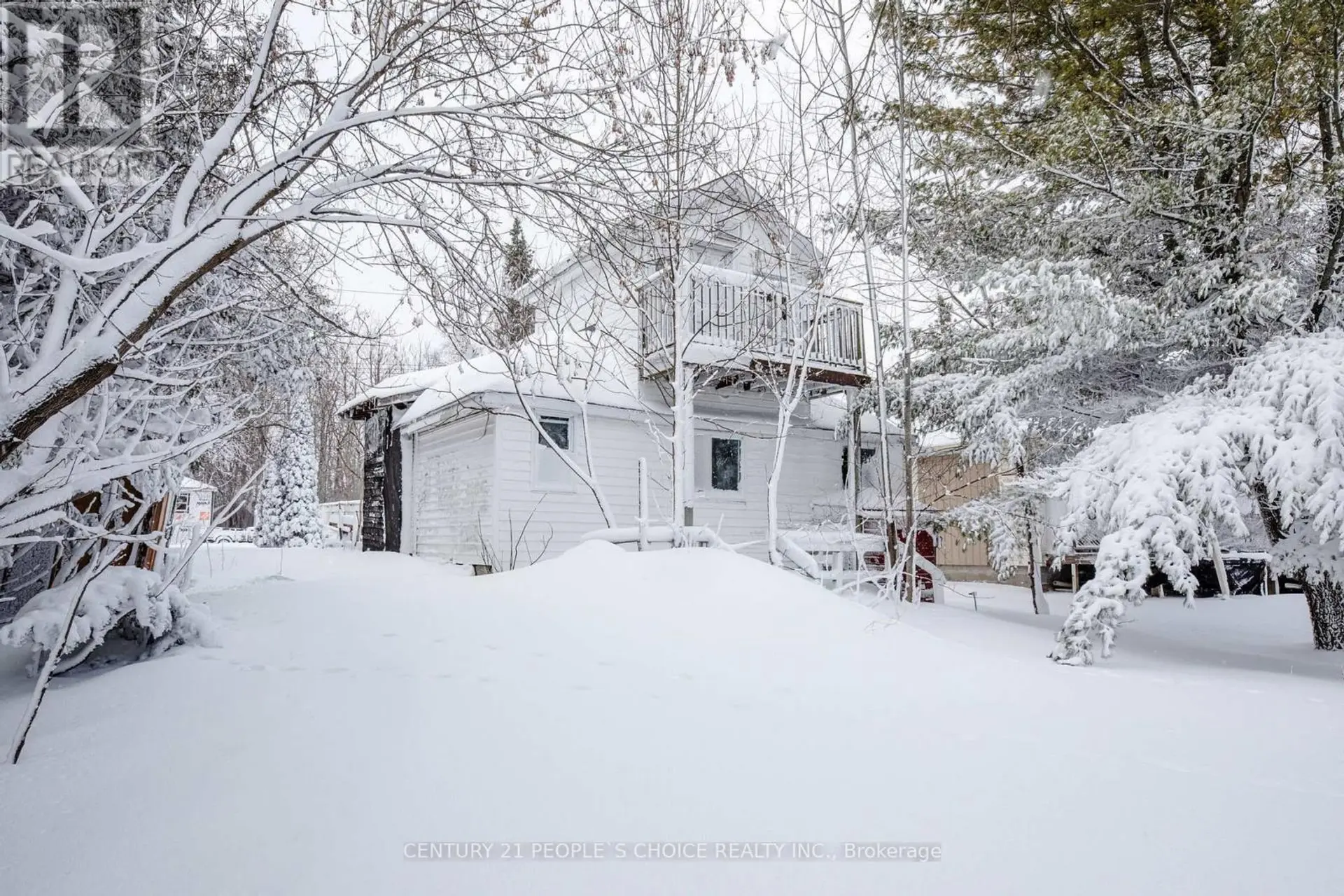 250 KINGFISHER AVENUE - Image 2