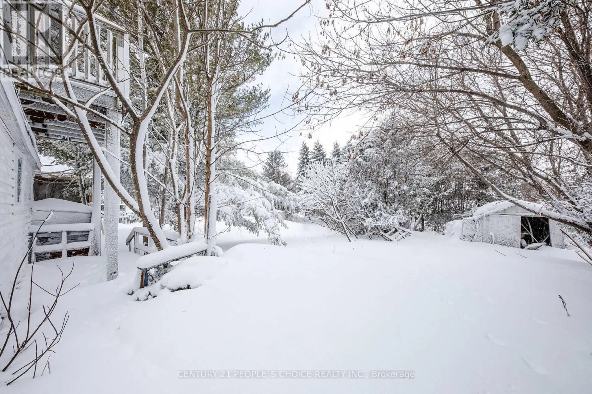 250 KINGFISHER AVENUE - Image 4