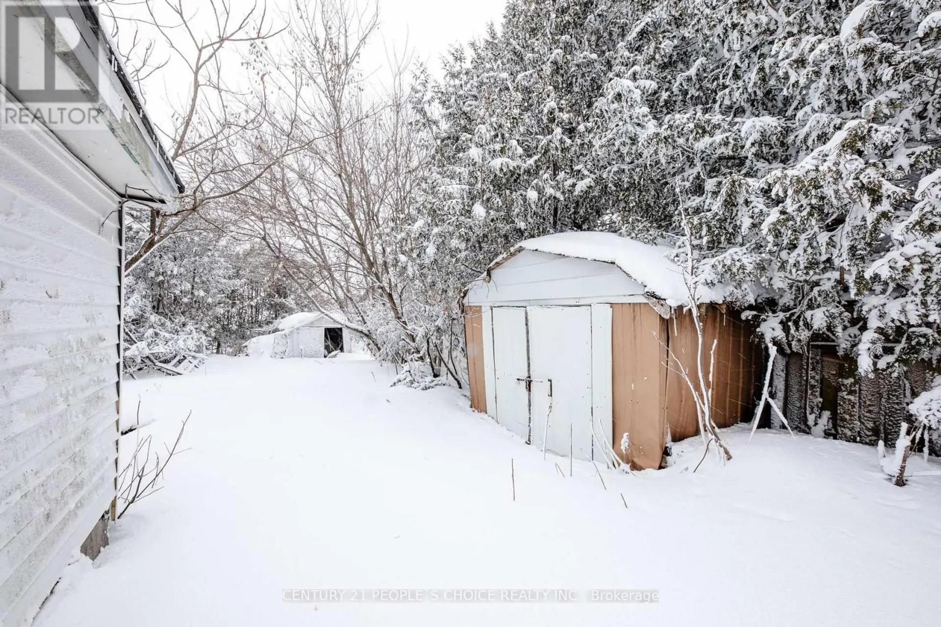 250 KINGFISHER AVENUE - Image 6