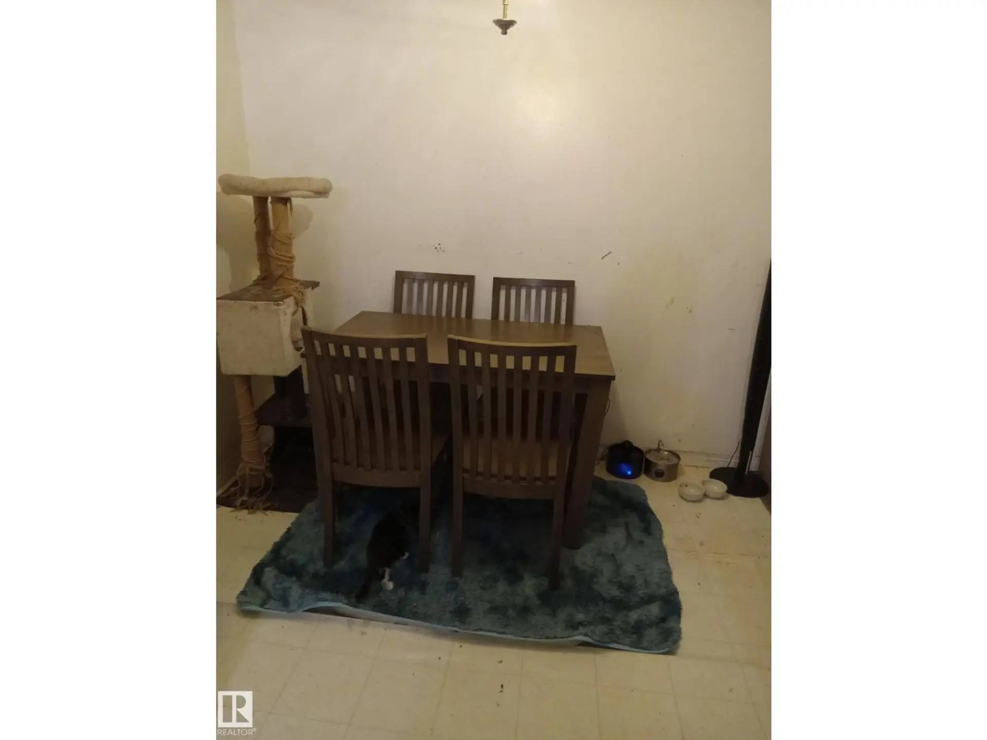 #313 2908 116A AV NW - Image 9