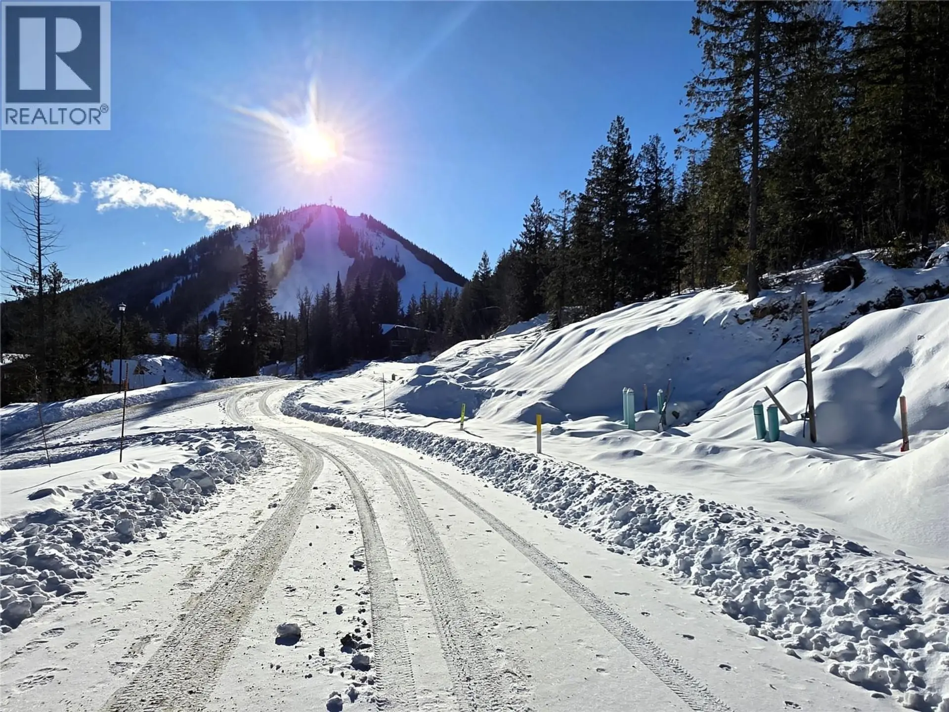 Property at 101 TOPPING TERRACE, Rossland, BC