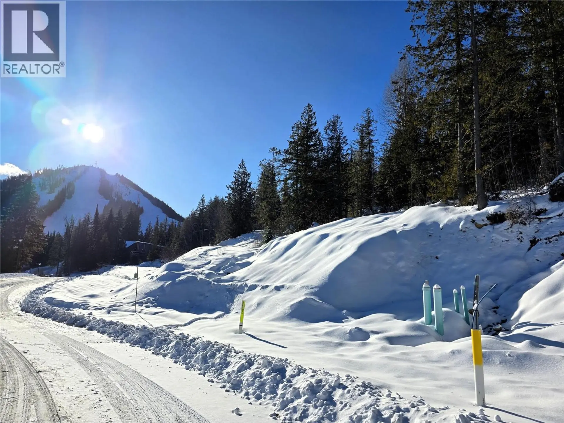 Property at 101 TOPPING TERRACE, Rossland, BC