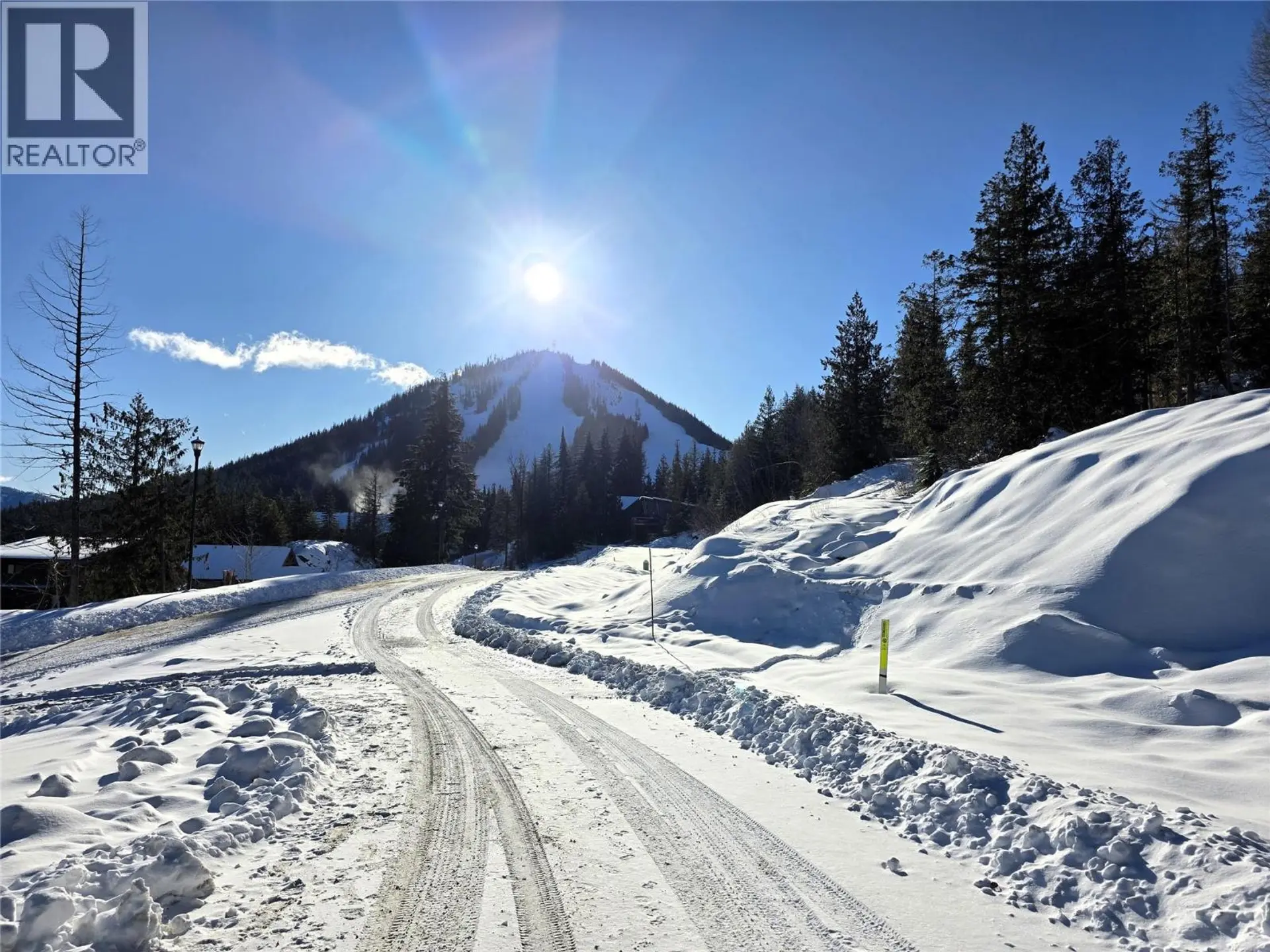 Property at 101 TOPPING TERRACE, Rossland, BC