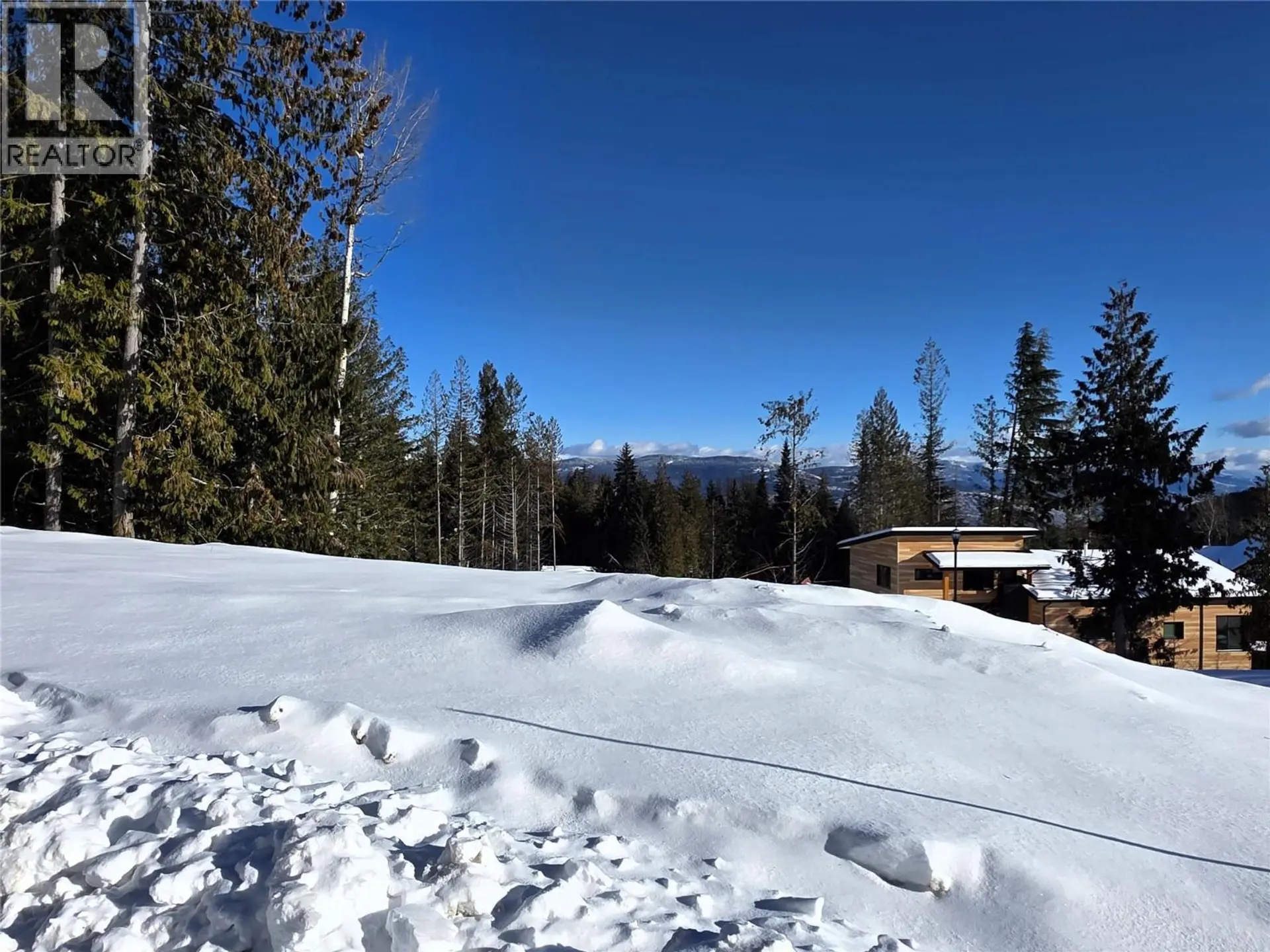 Property at 101 TOPPING TERRACE, Rossland, BC