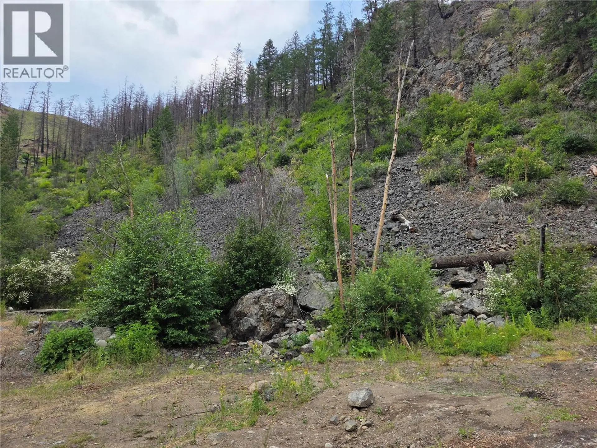 Property at 2611 GREEN MOUNTAIN ROAD, Keremeos, BC