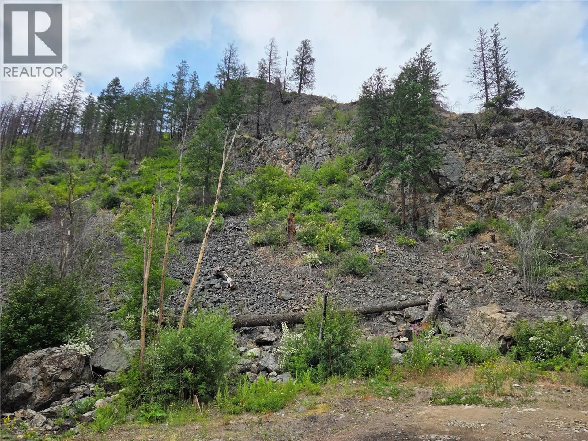 Property at 2611 GREEN MOUNTAIN ROAD, Keremeos, BC