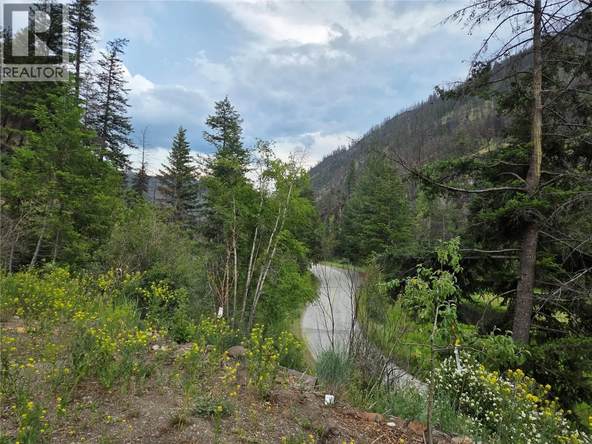 Property at 2611 GREEN MOUNTAIN ROAD, Keremeos, BC