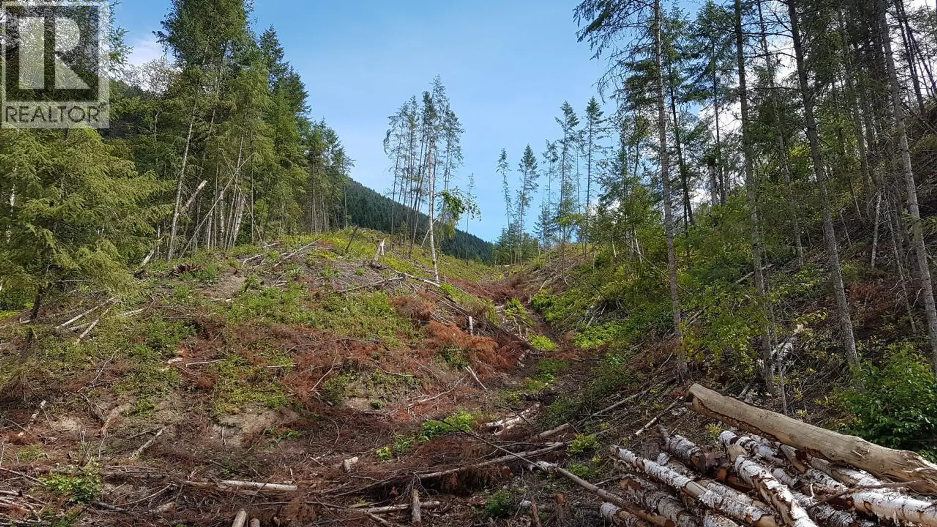 Property at 1525 YELLOWHEAD HIGHWAY, Clearwater, BC